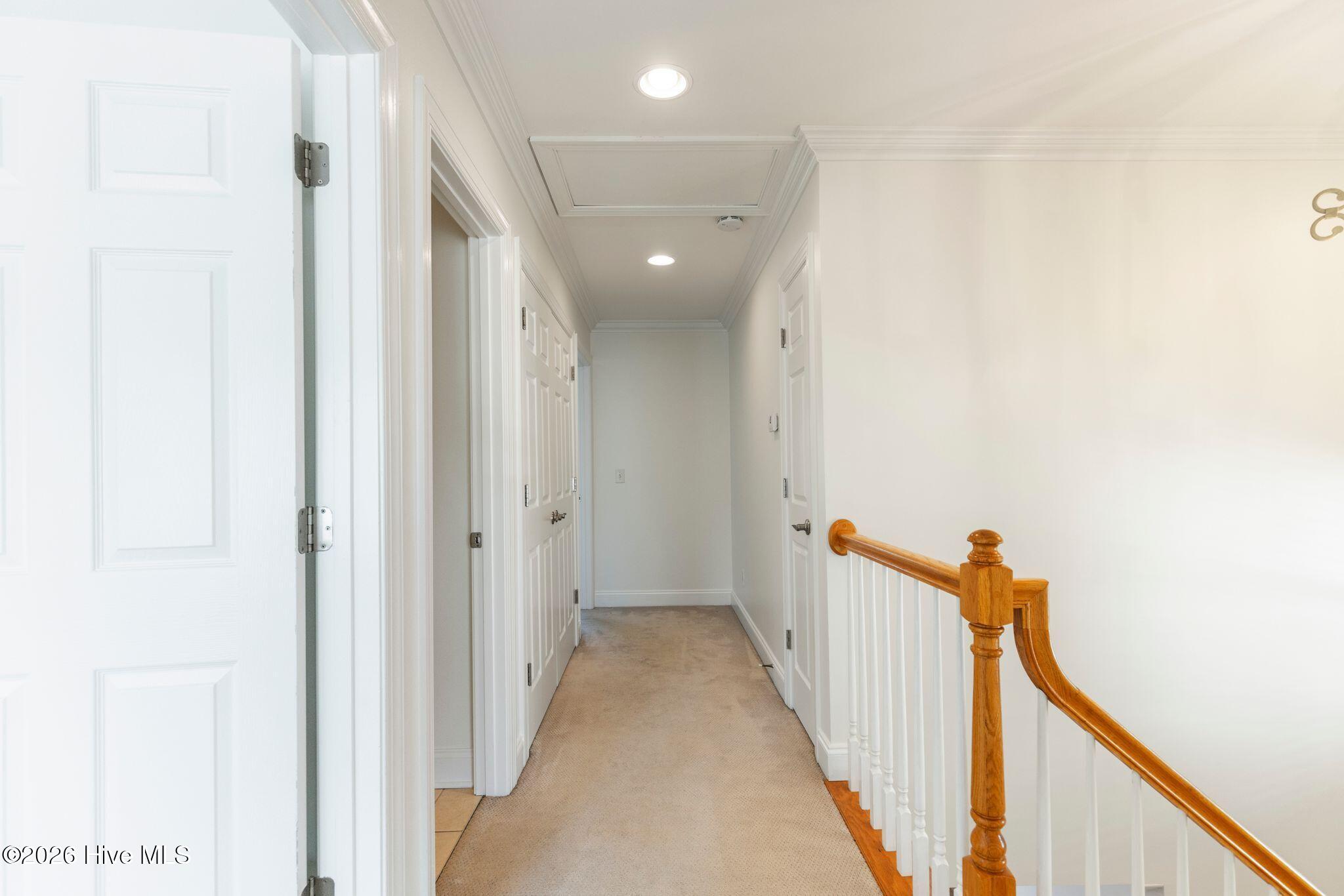 100560146 | Photo 22