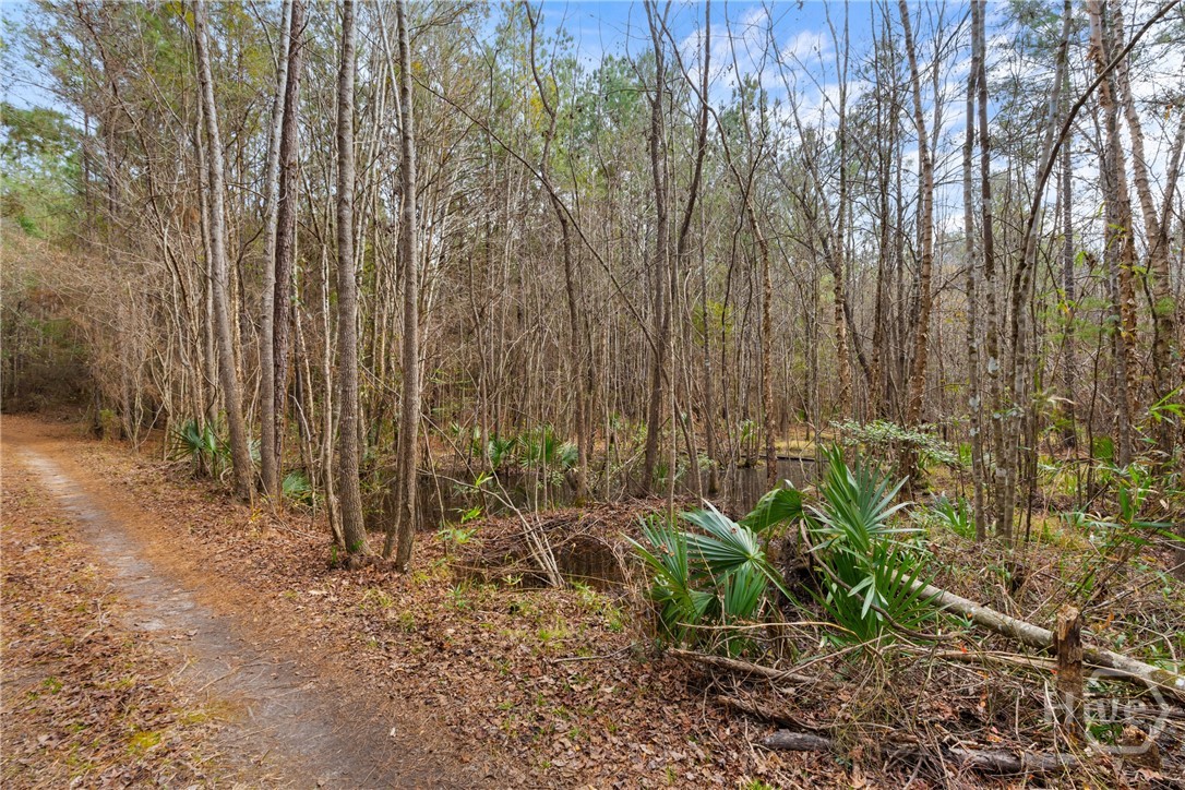 1000 Old River Road S, Brooklet, GA, 30415