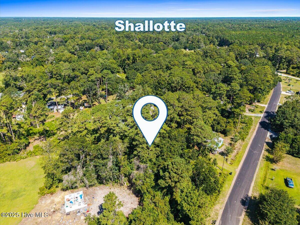 100538571 | Photo 14