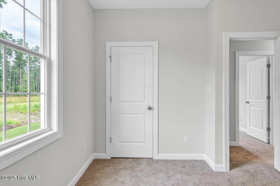 100541742 | Photo 31