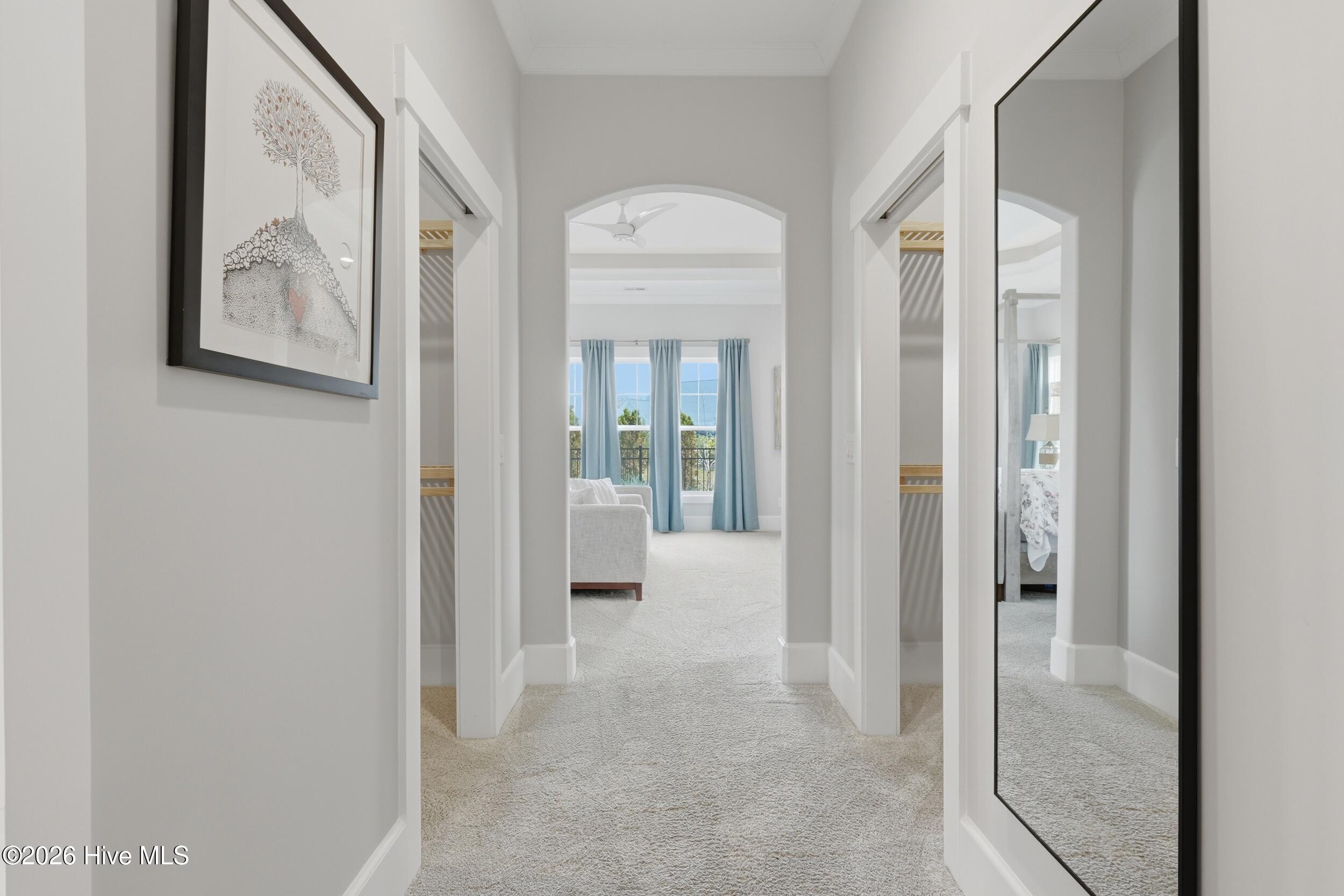 100567484 | Photo 29