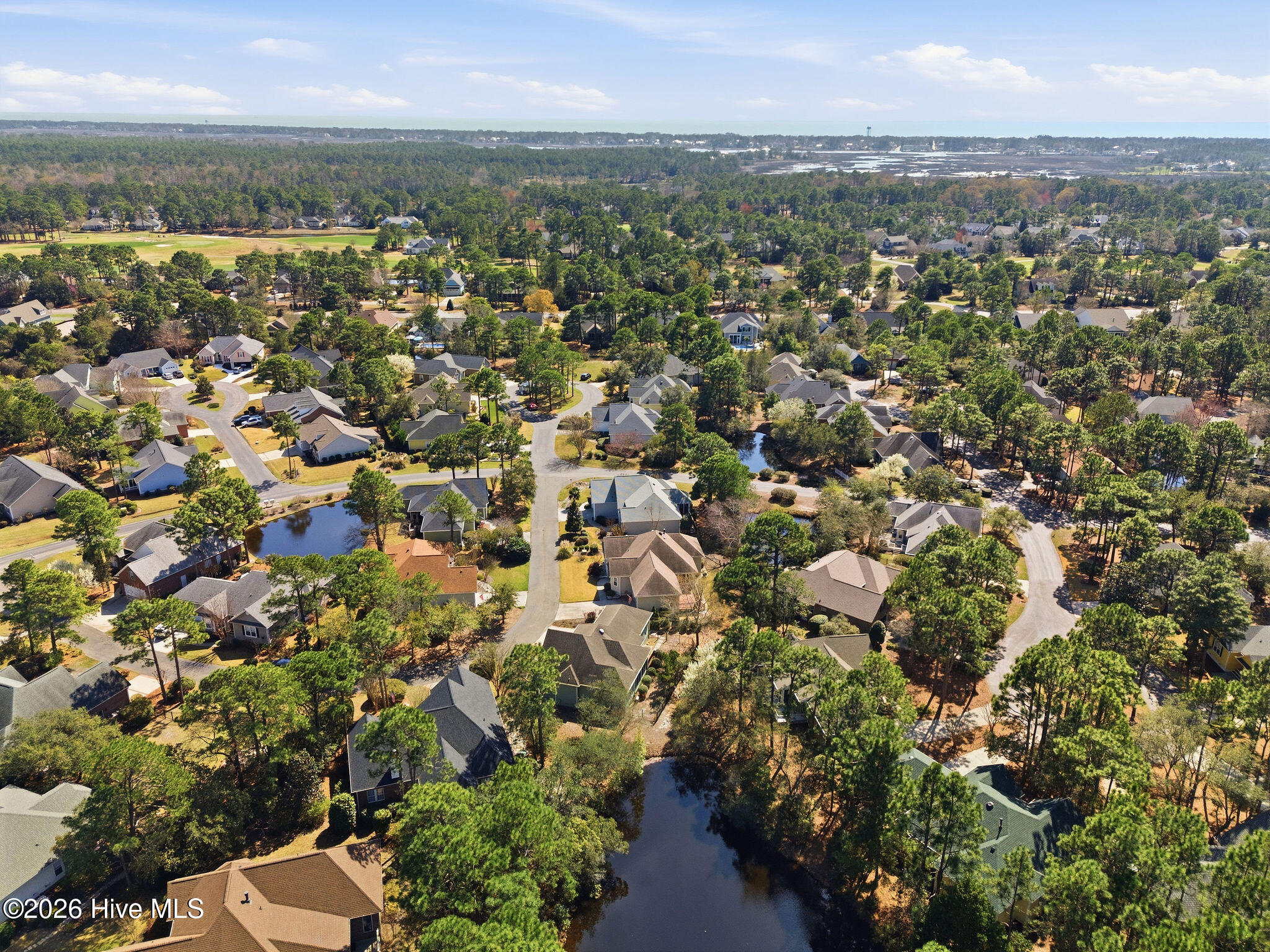 100560993 | Photo 52