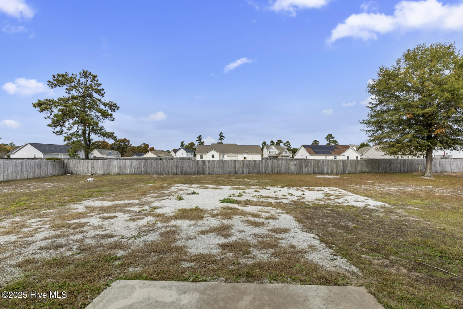 100540341 | Photo 22