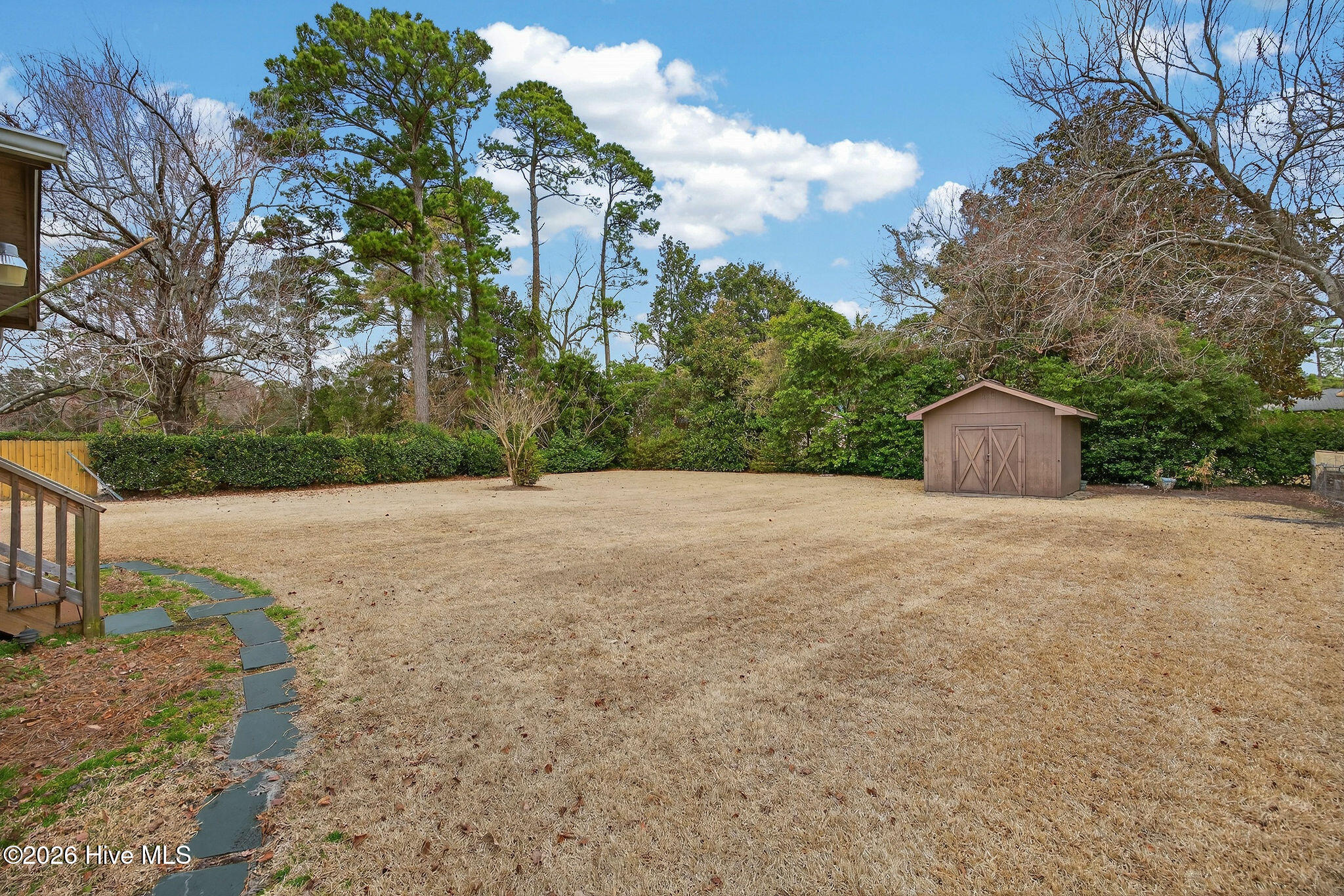 100556138 | Photo 11