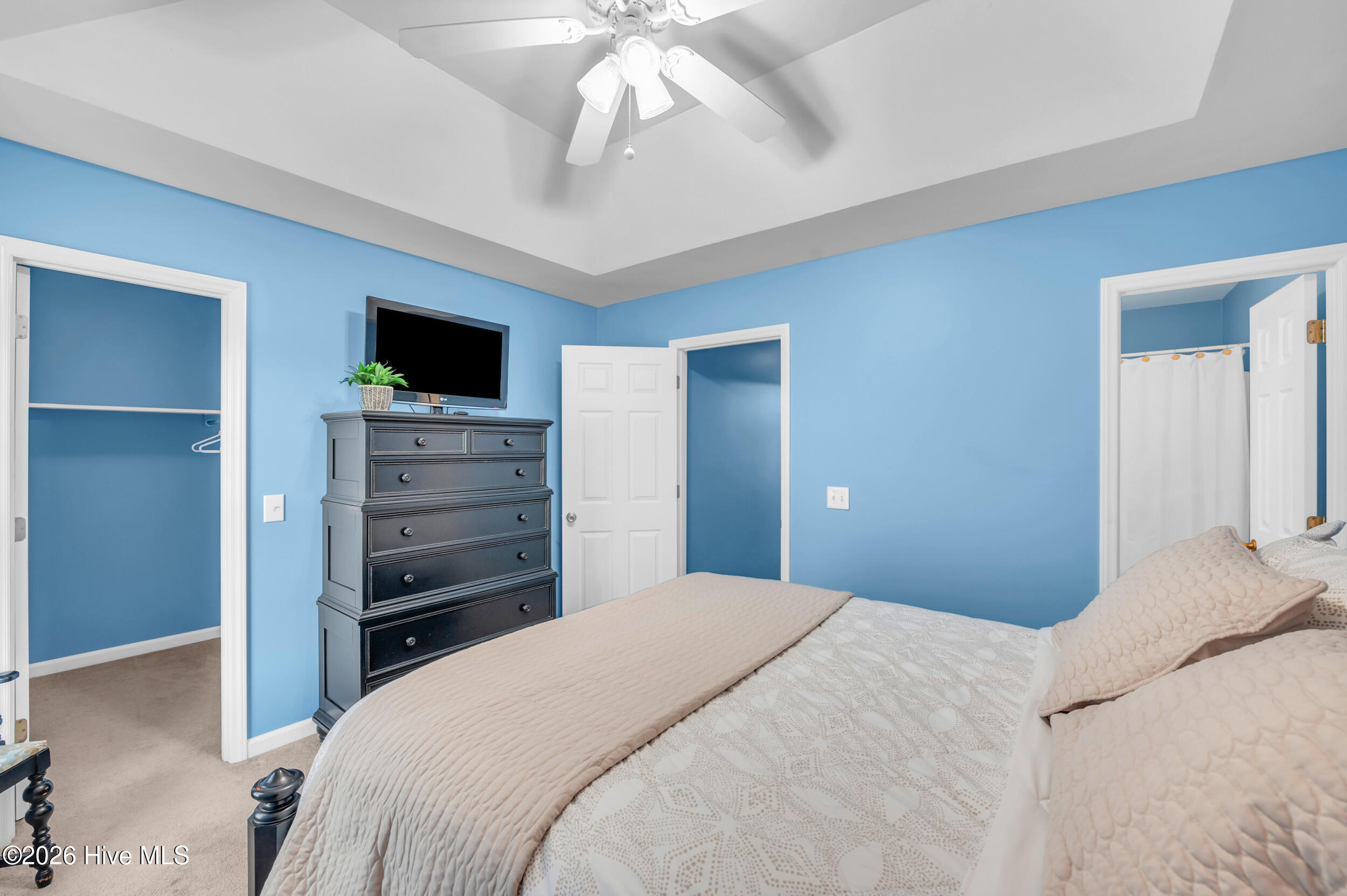 100565578 | Photo 19