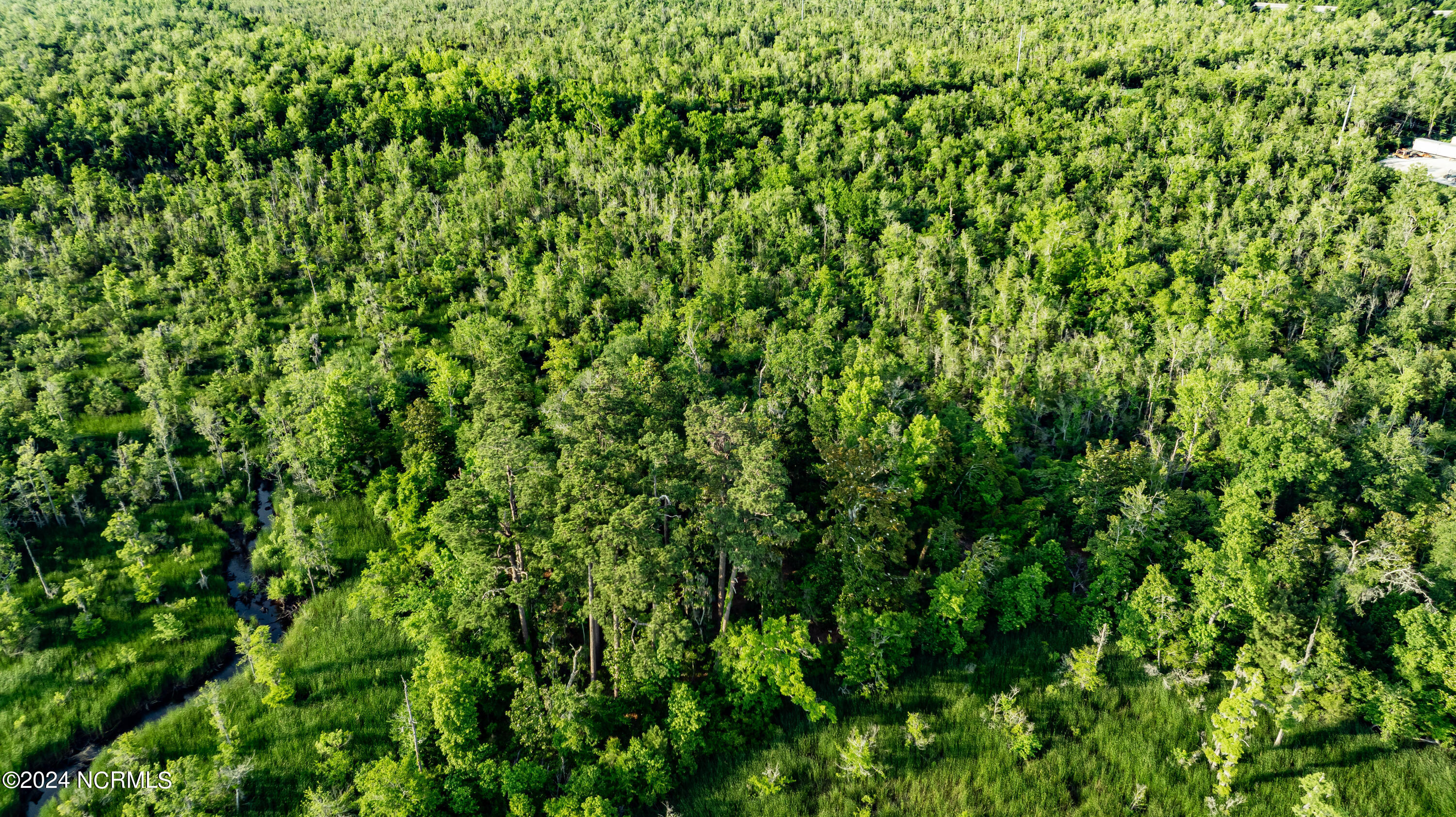 100552771 | Photo 62