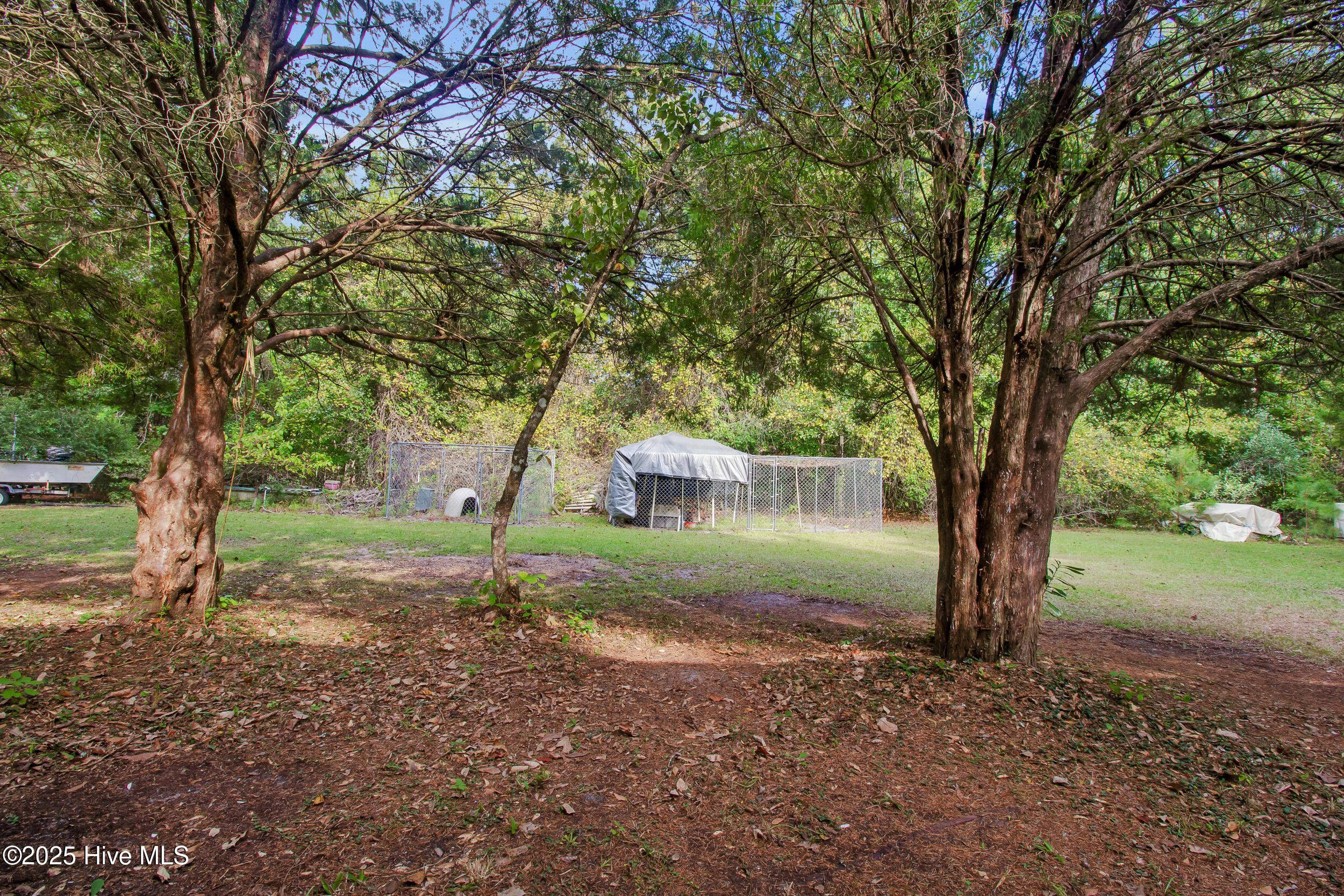 100535721 | Photo 21