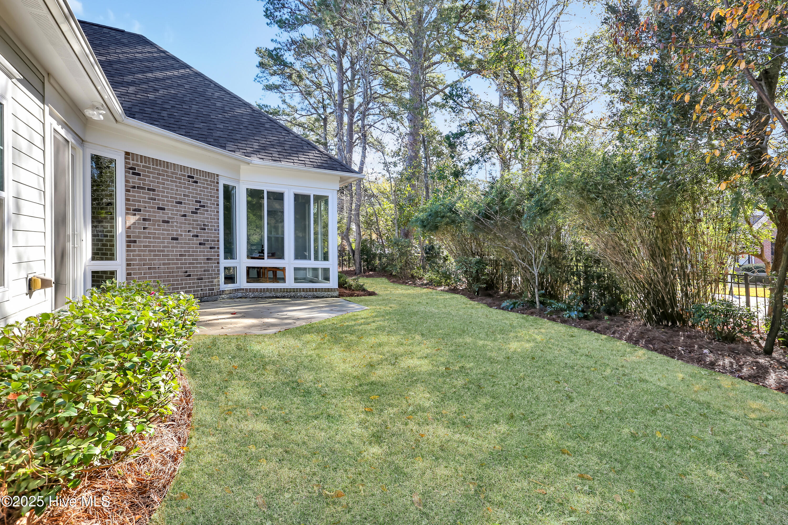 100514876 | Photo 51