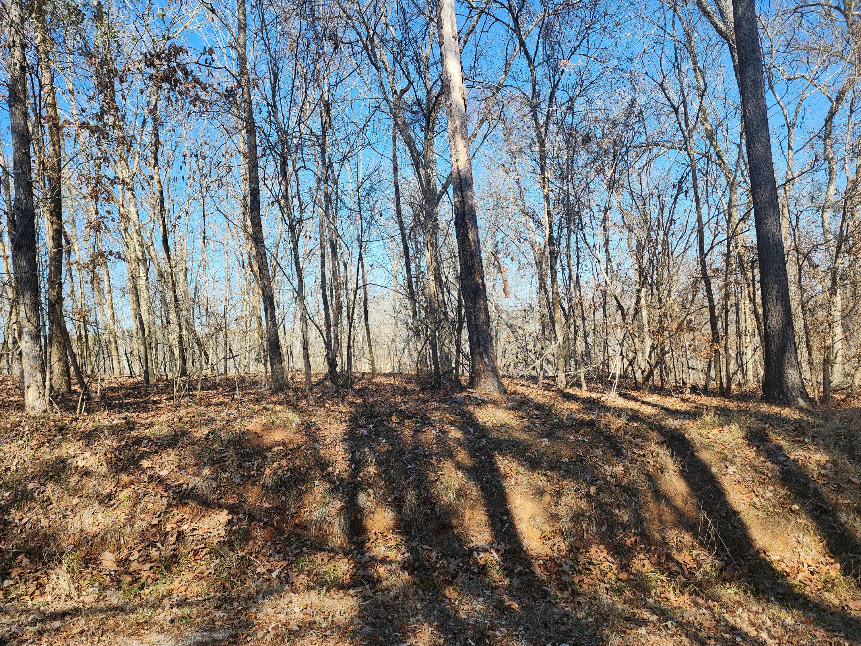 Homes for sale in Clarks Hill, SC | 262 Goose Rd, Clarks Hill, SC 29821 | MLS# 551987