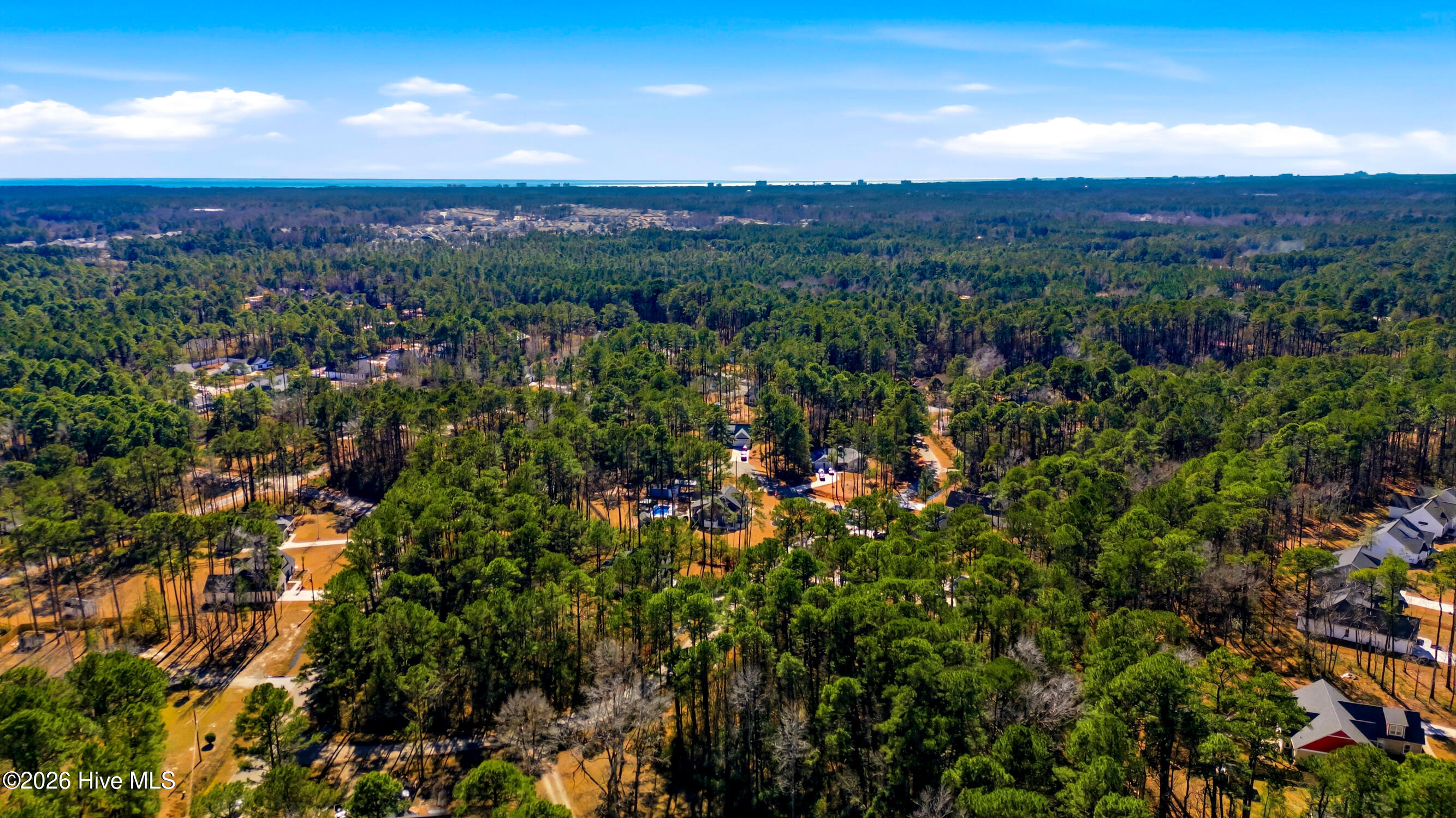 100555864 | Photo 42