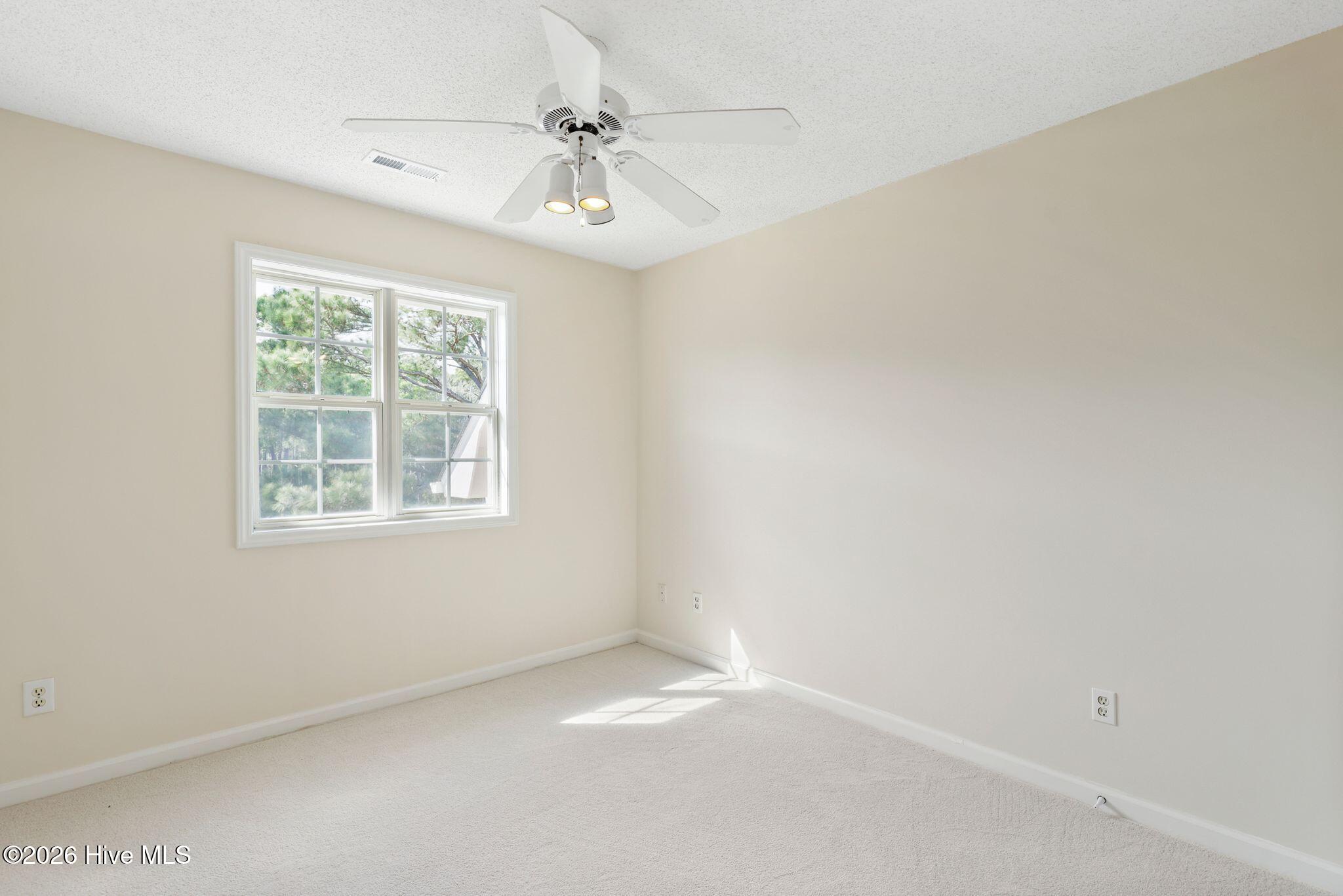 100558031 | Photo 38