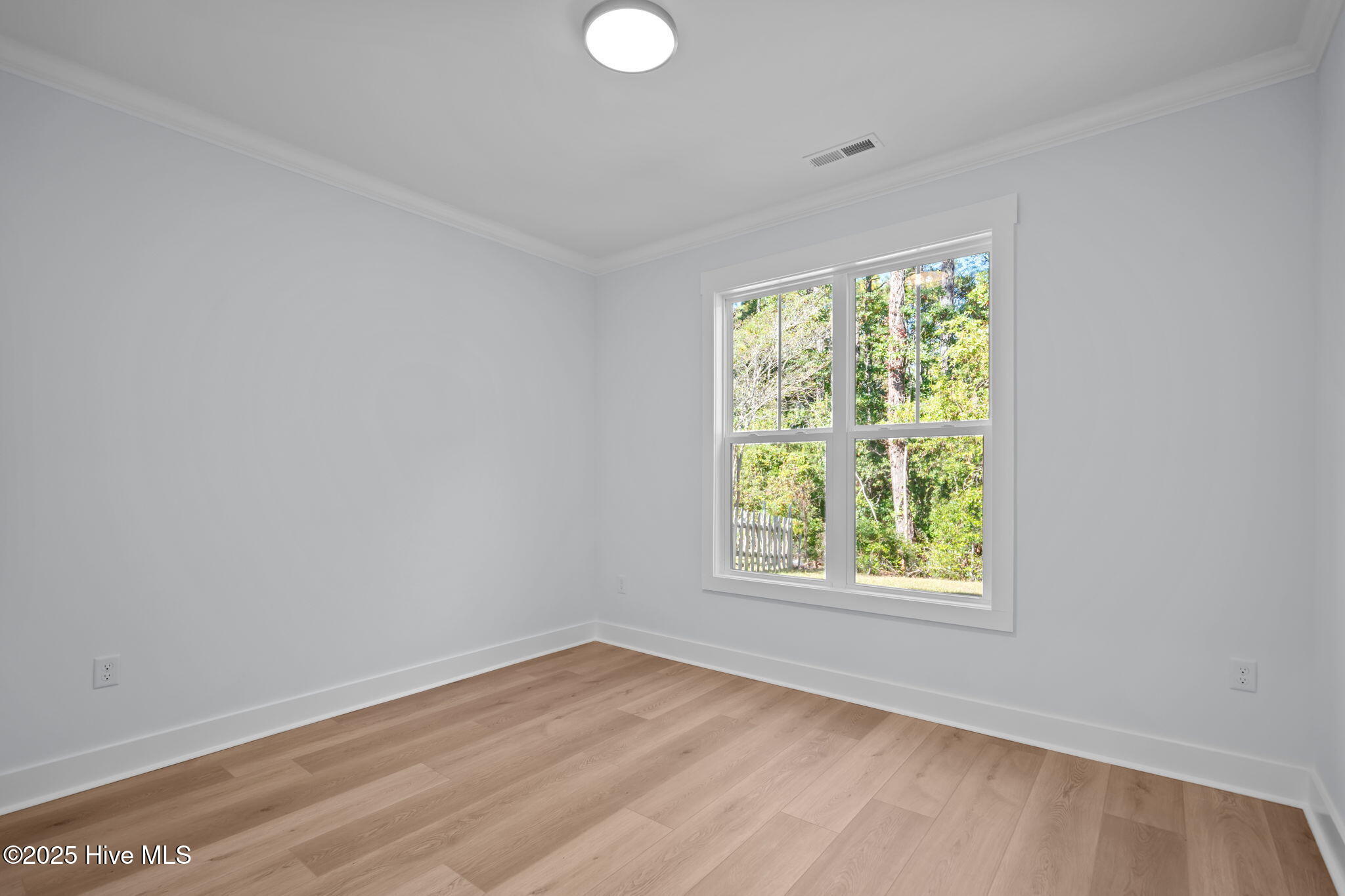 100542016 | Photo 34