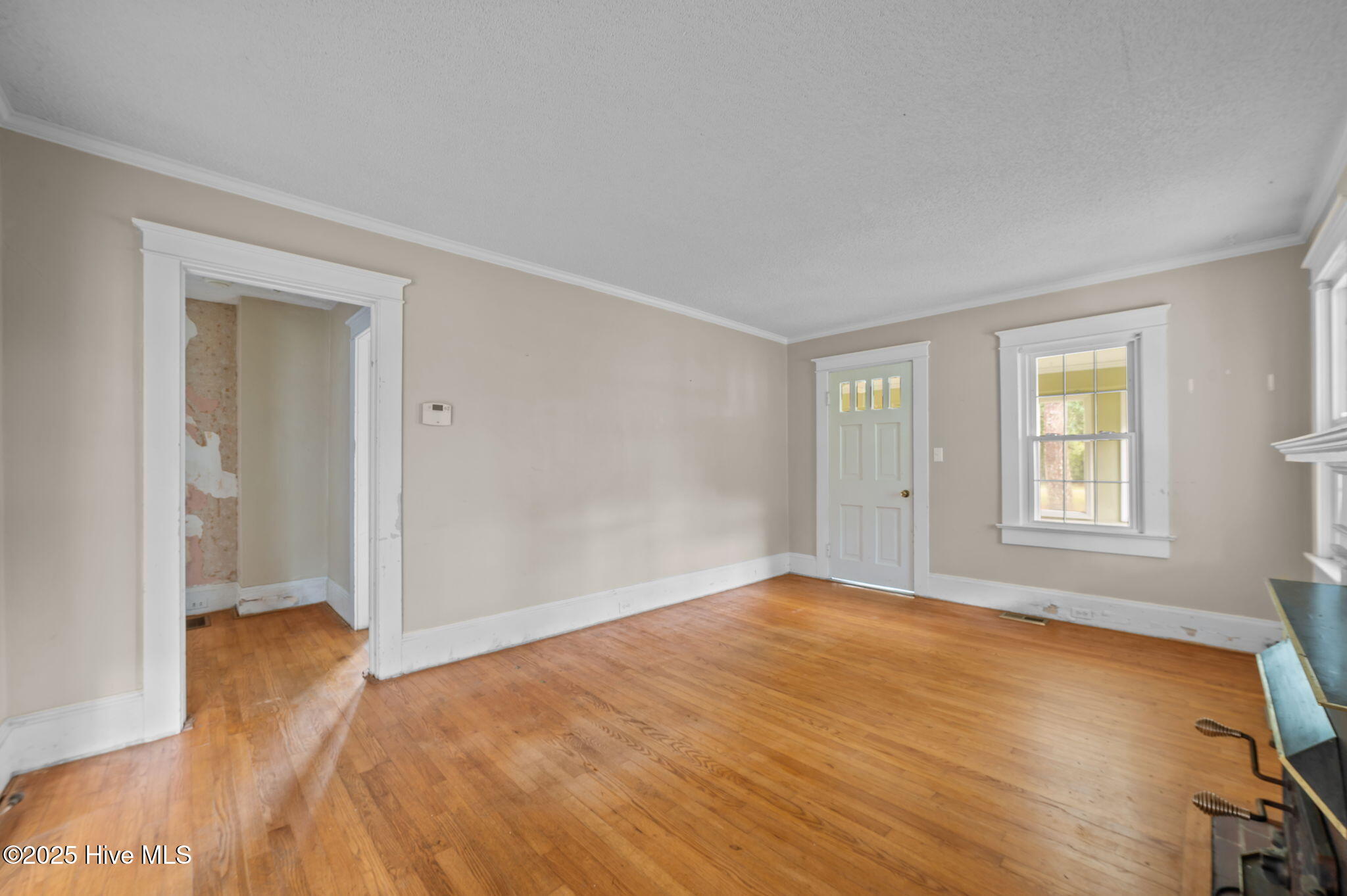 17-web-or-mls-LHV_3466