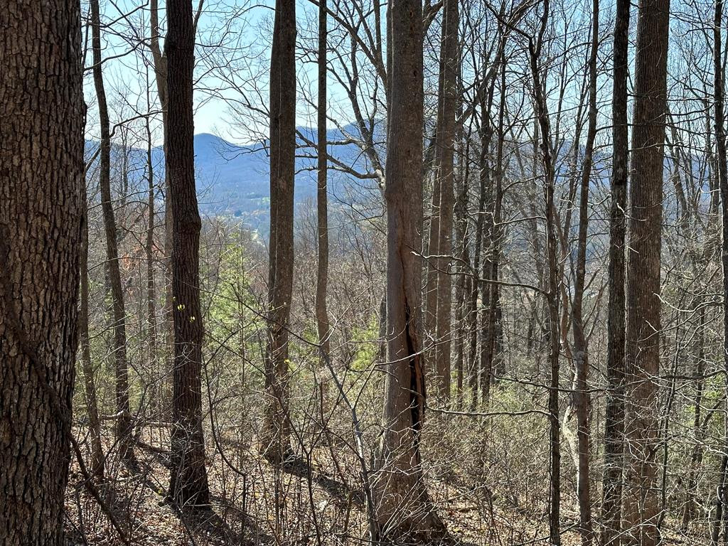 Listing Photo 98544458