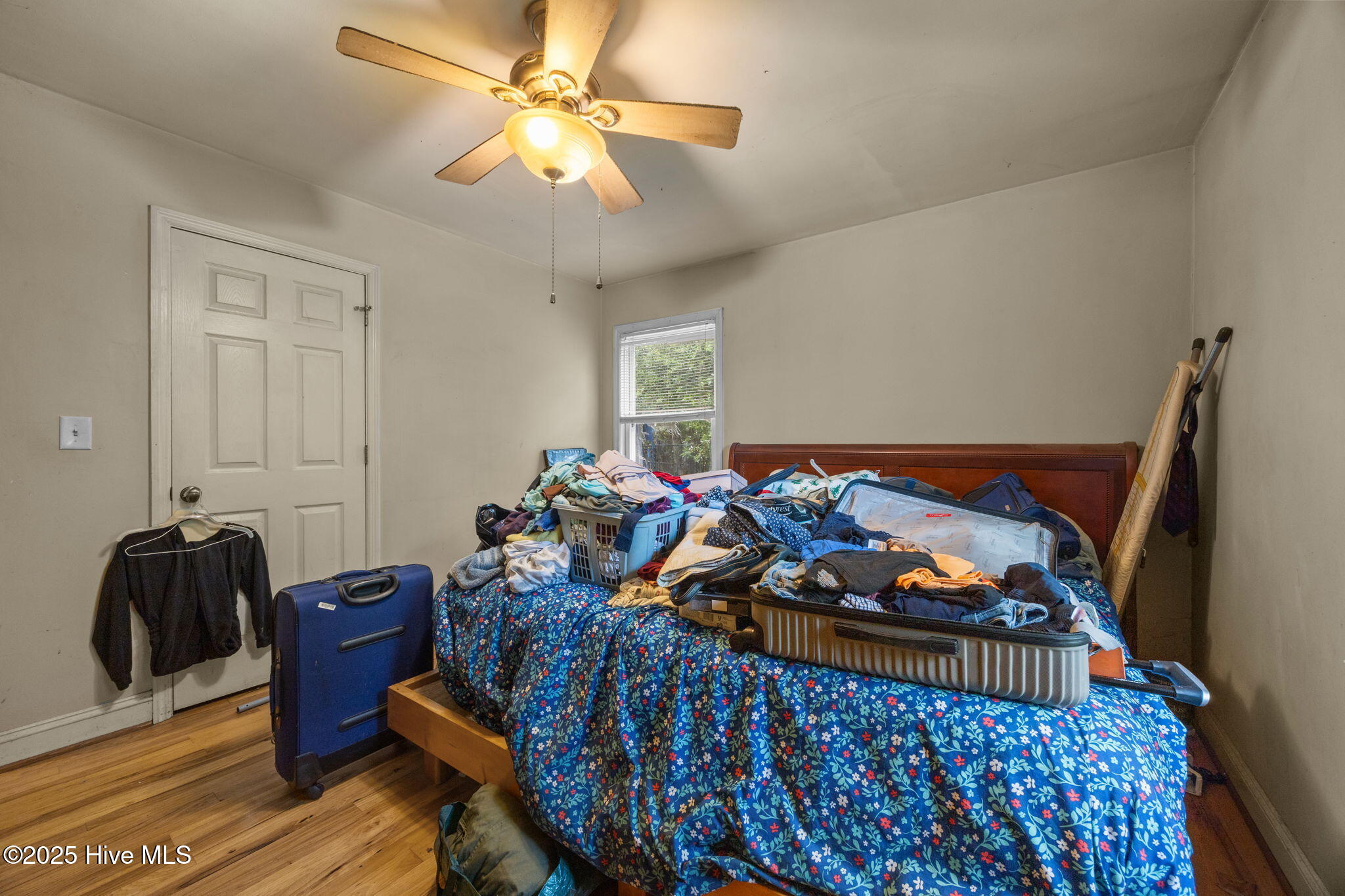 100566802 | Photo 41