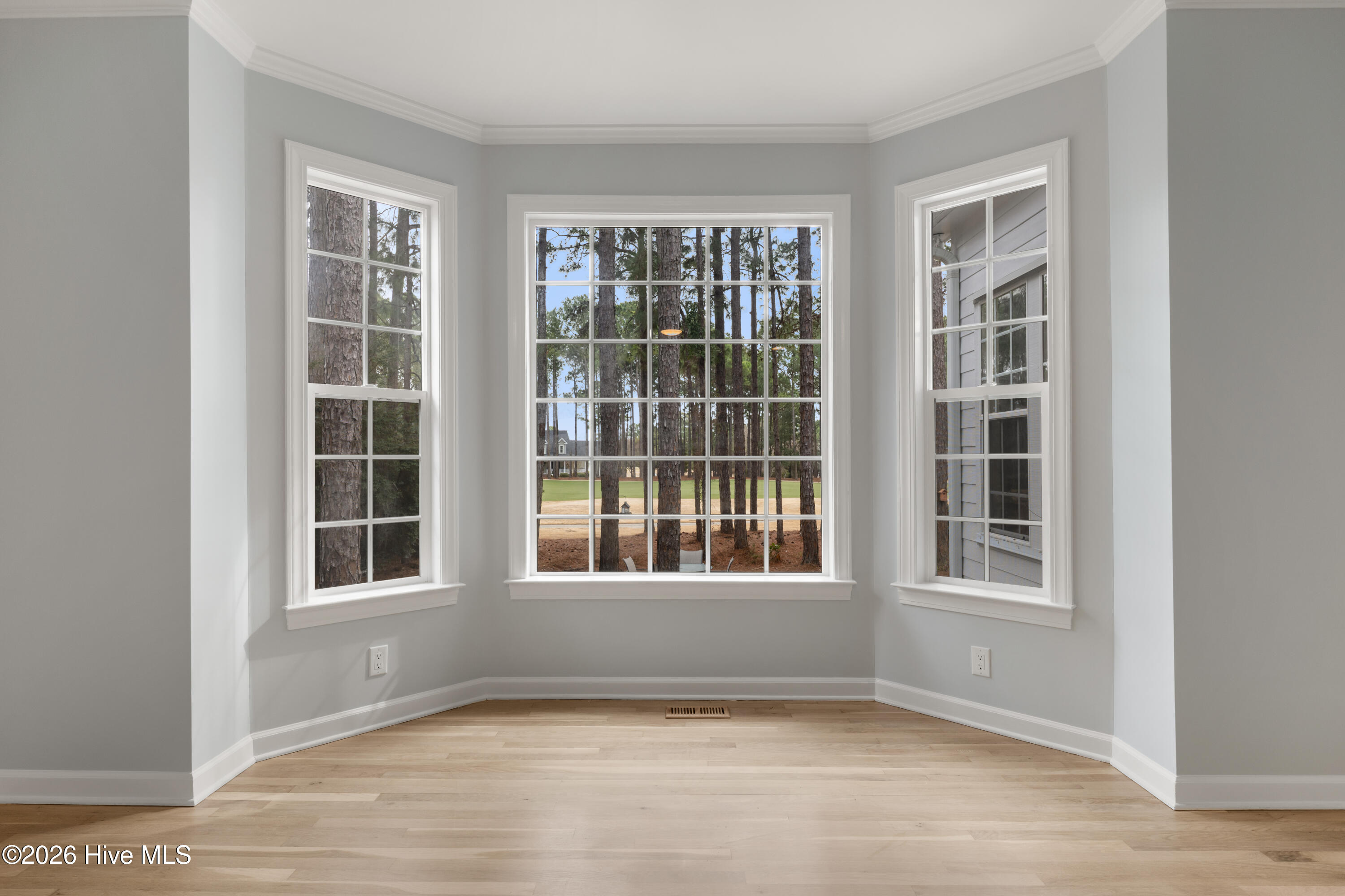 100555954 | Photo 33