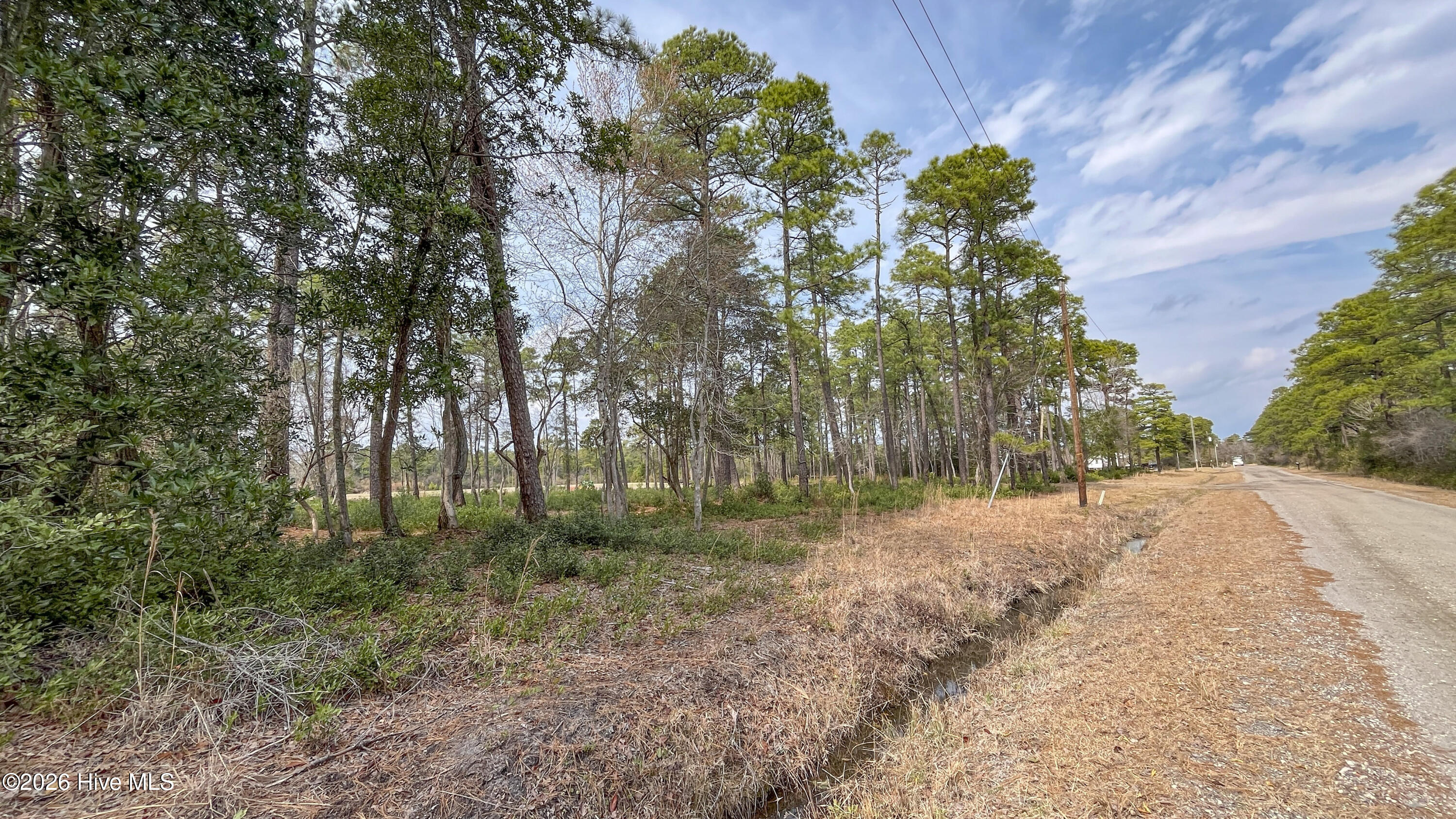 100554657 | Photo 30