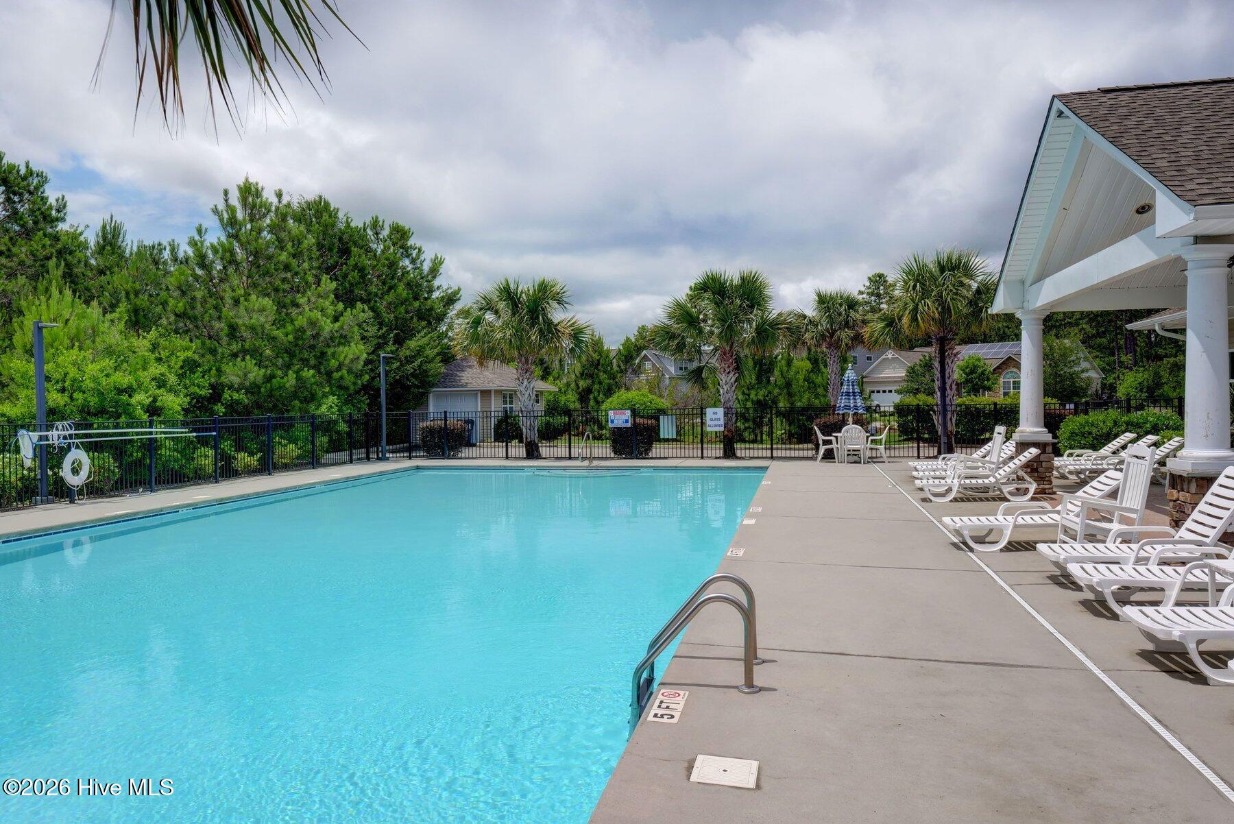 100556817 | Photo 50