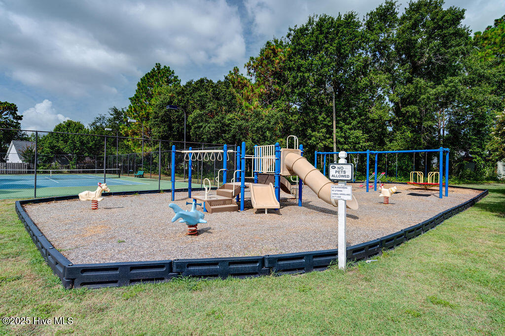 100543965 | Photo 50