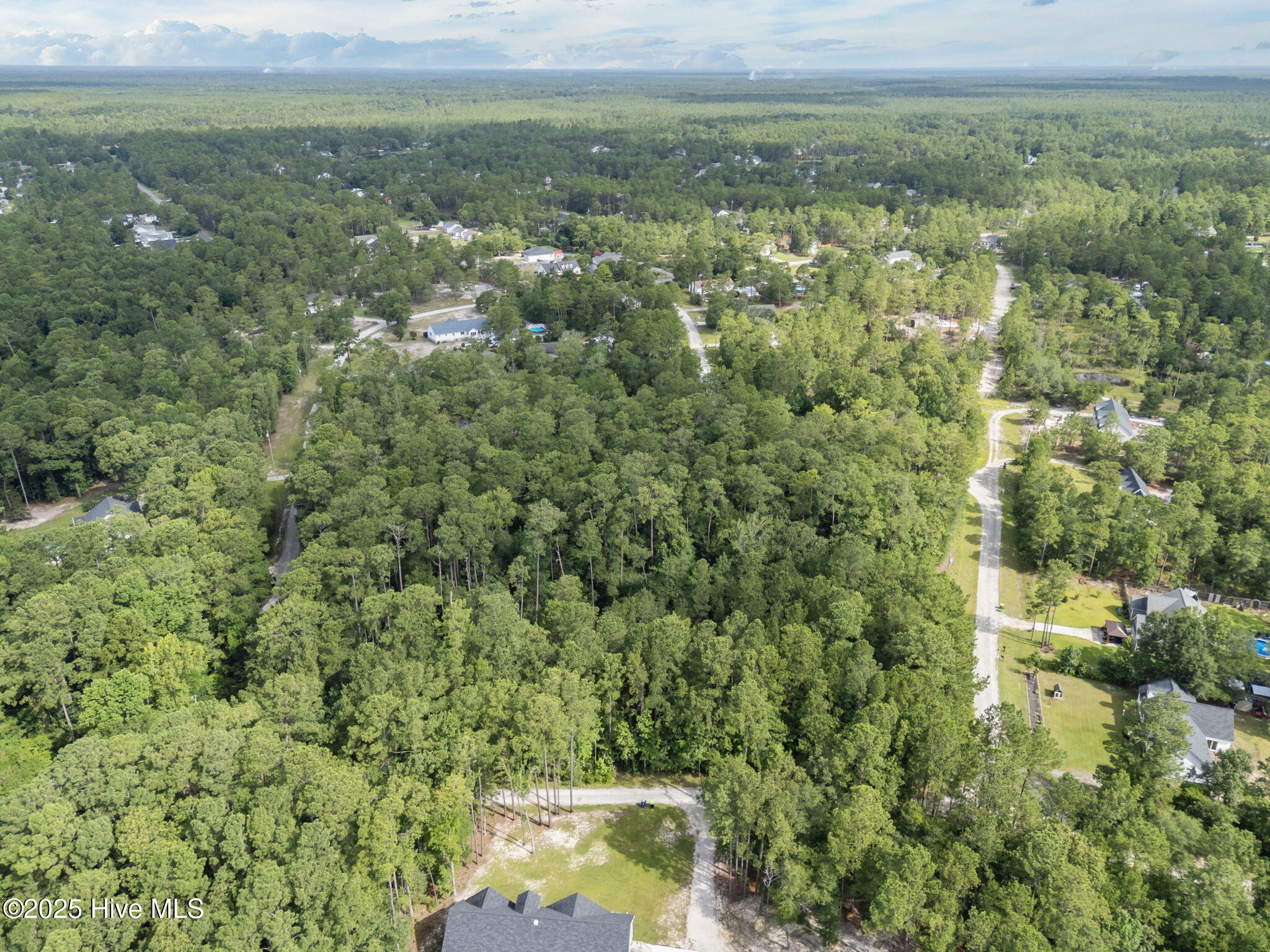 100519526 | Photo 10