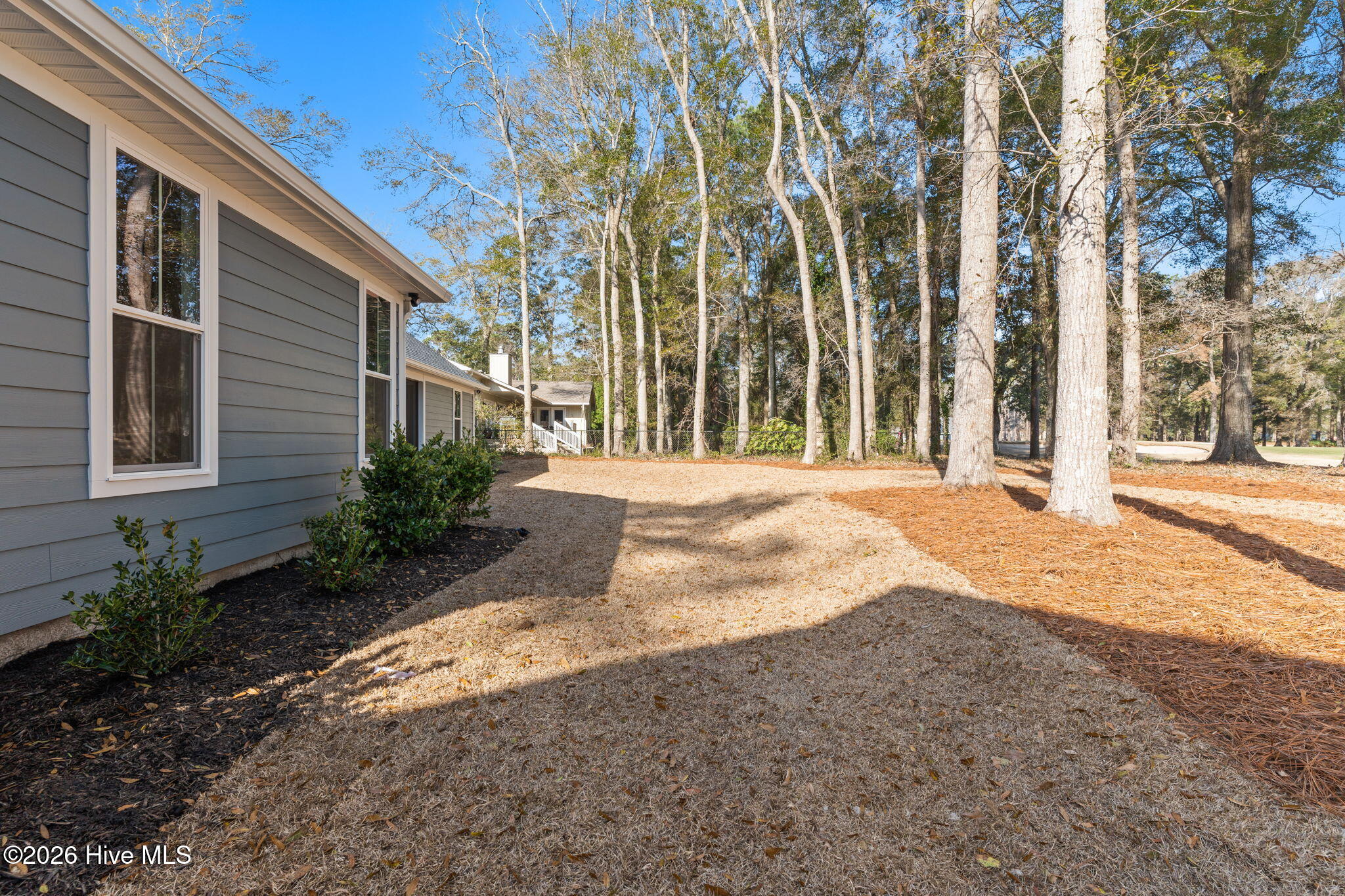 100558112 | Photo 50