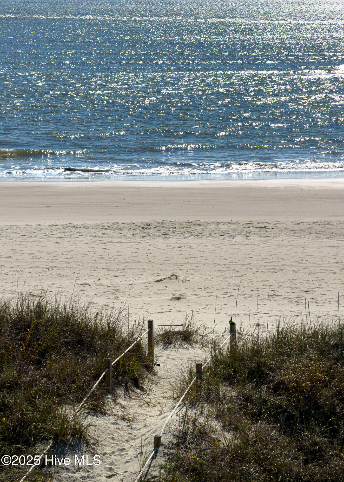 100541150 | Photo 60