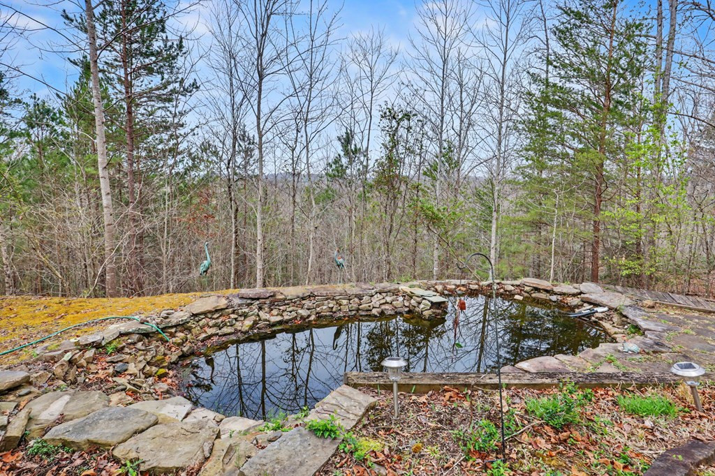 368 Sierra Springs Drive, Murphy, NC 28906 Listing Photo  61