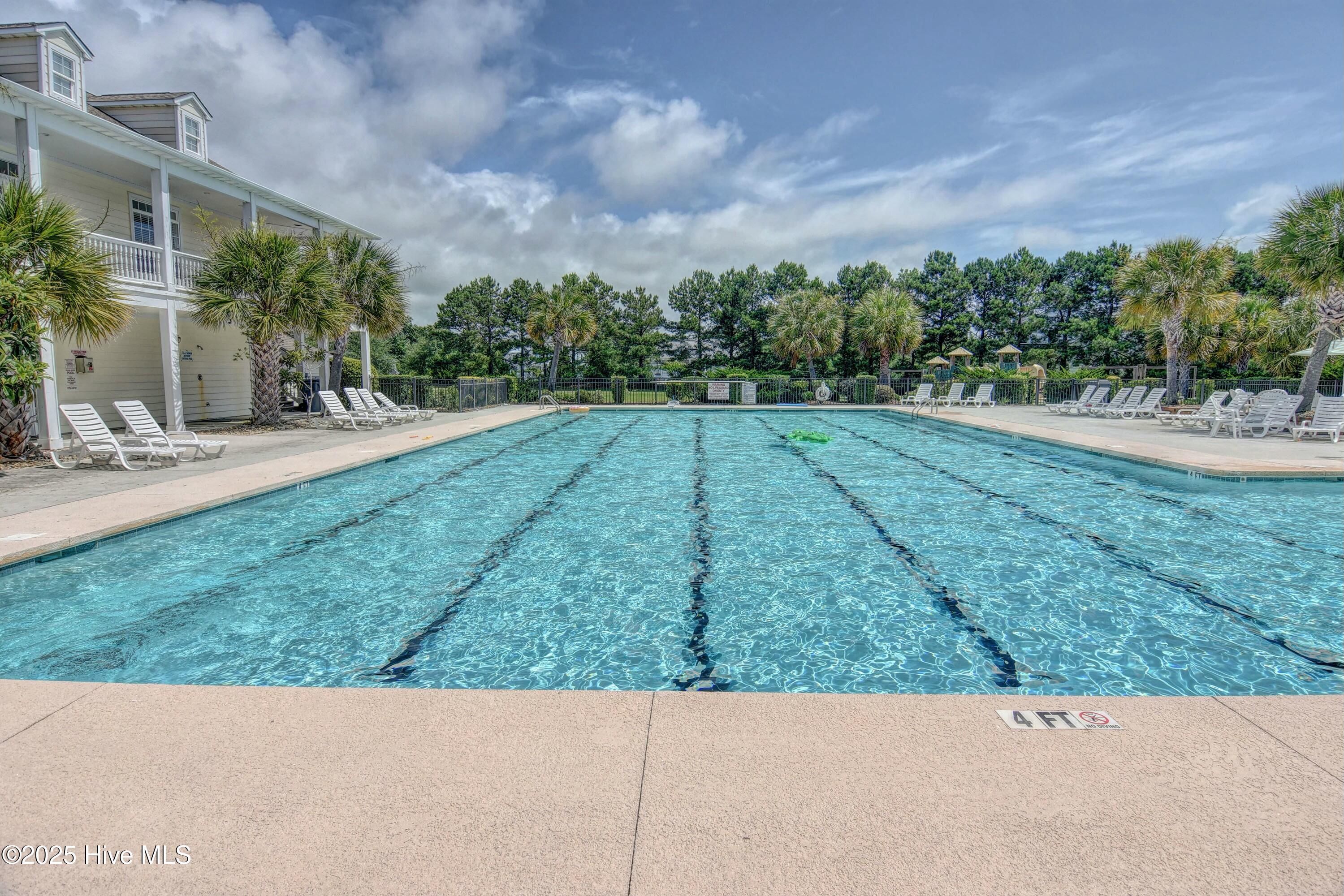 100498294 | Photo 11