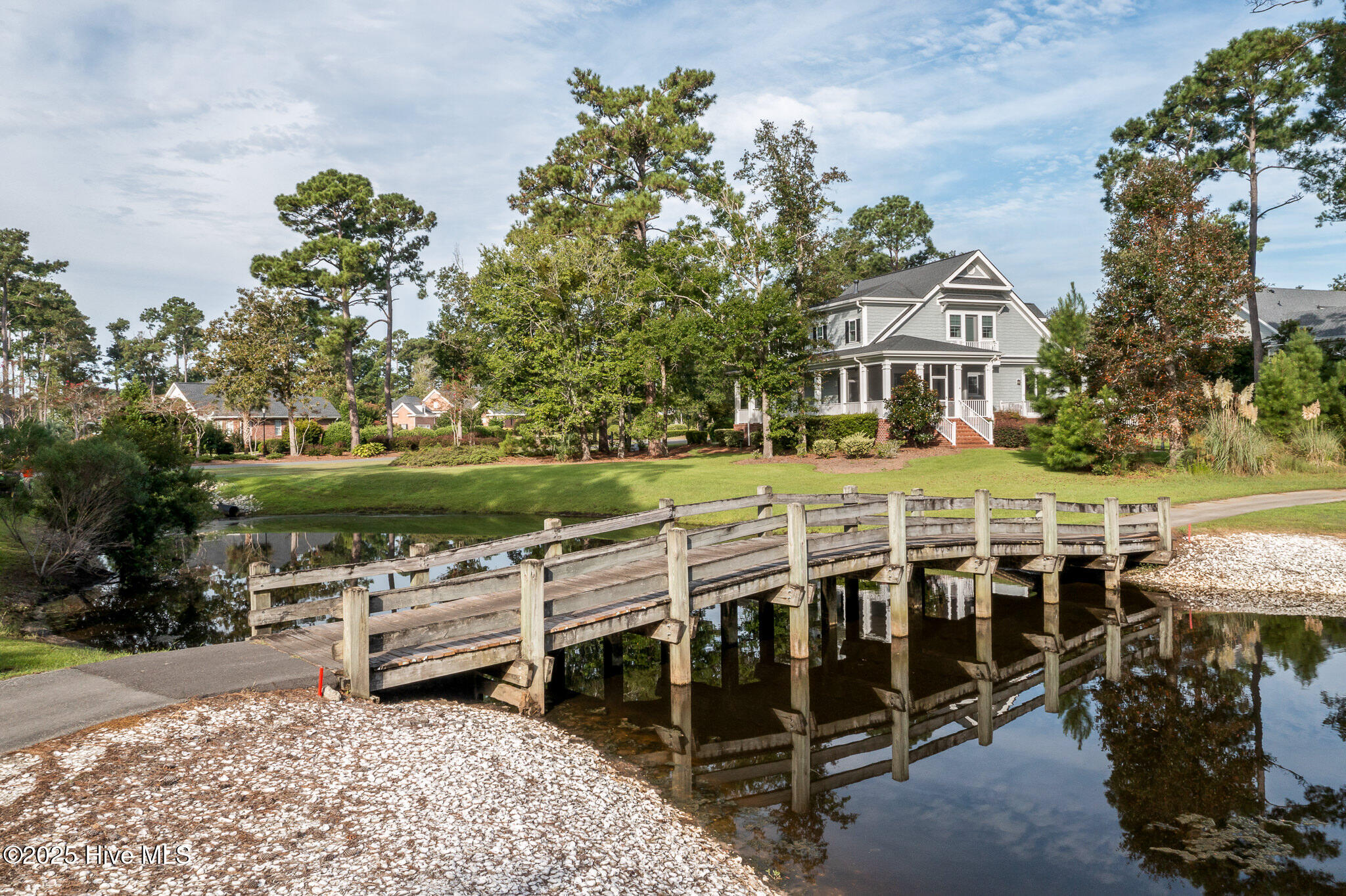 100528098 | Photo 52