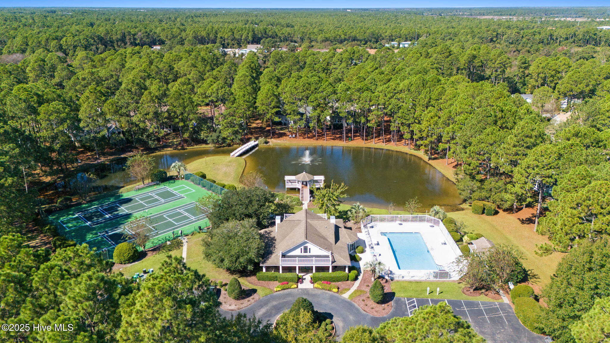 100539831 | Photo 41