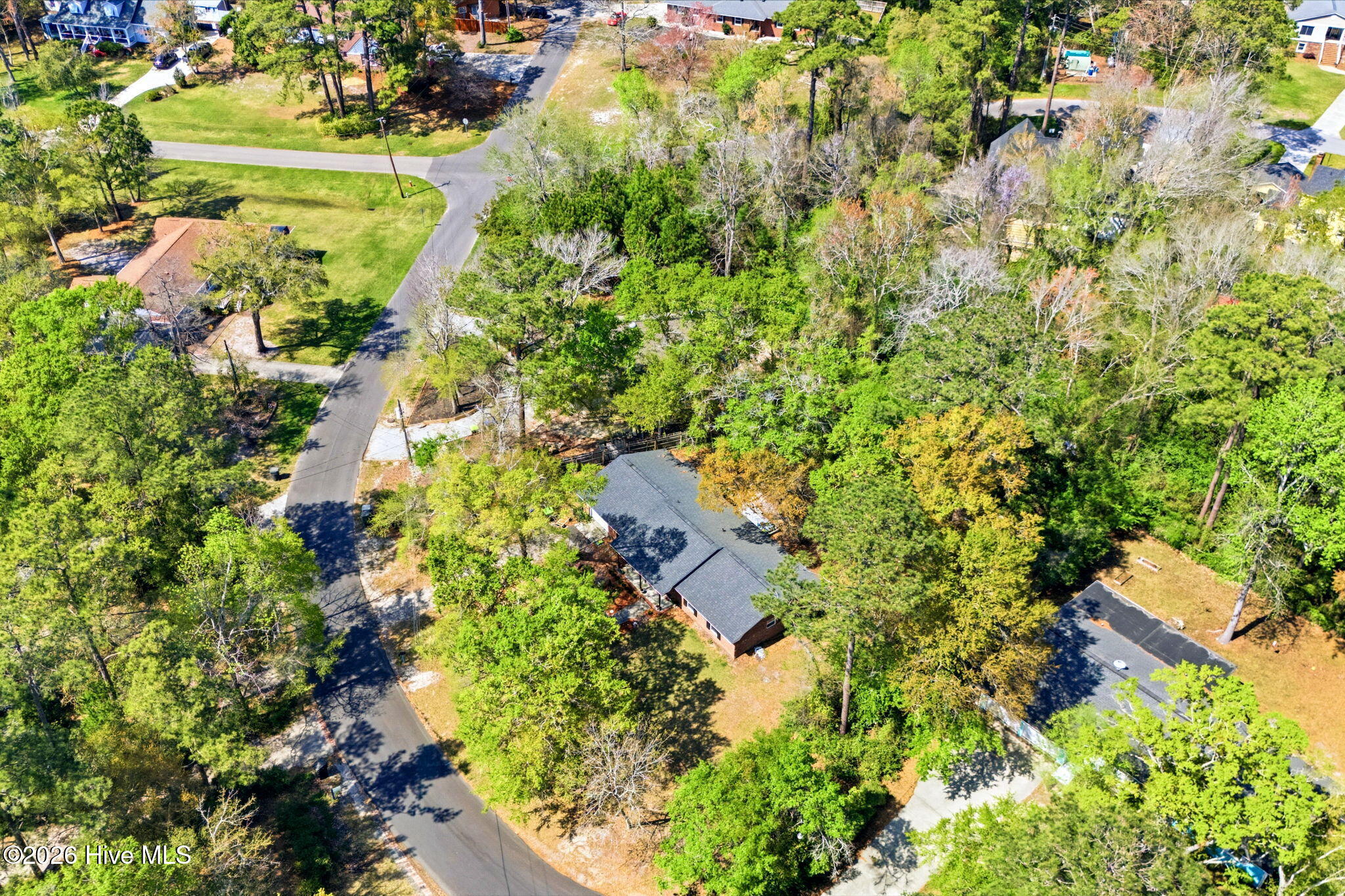 100564618 | Photo 12