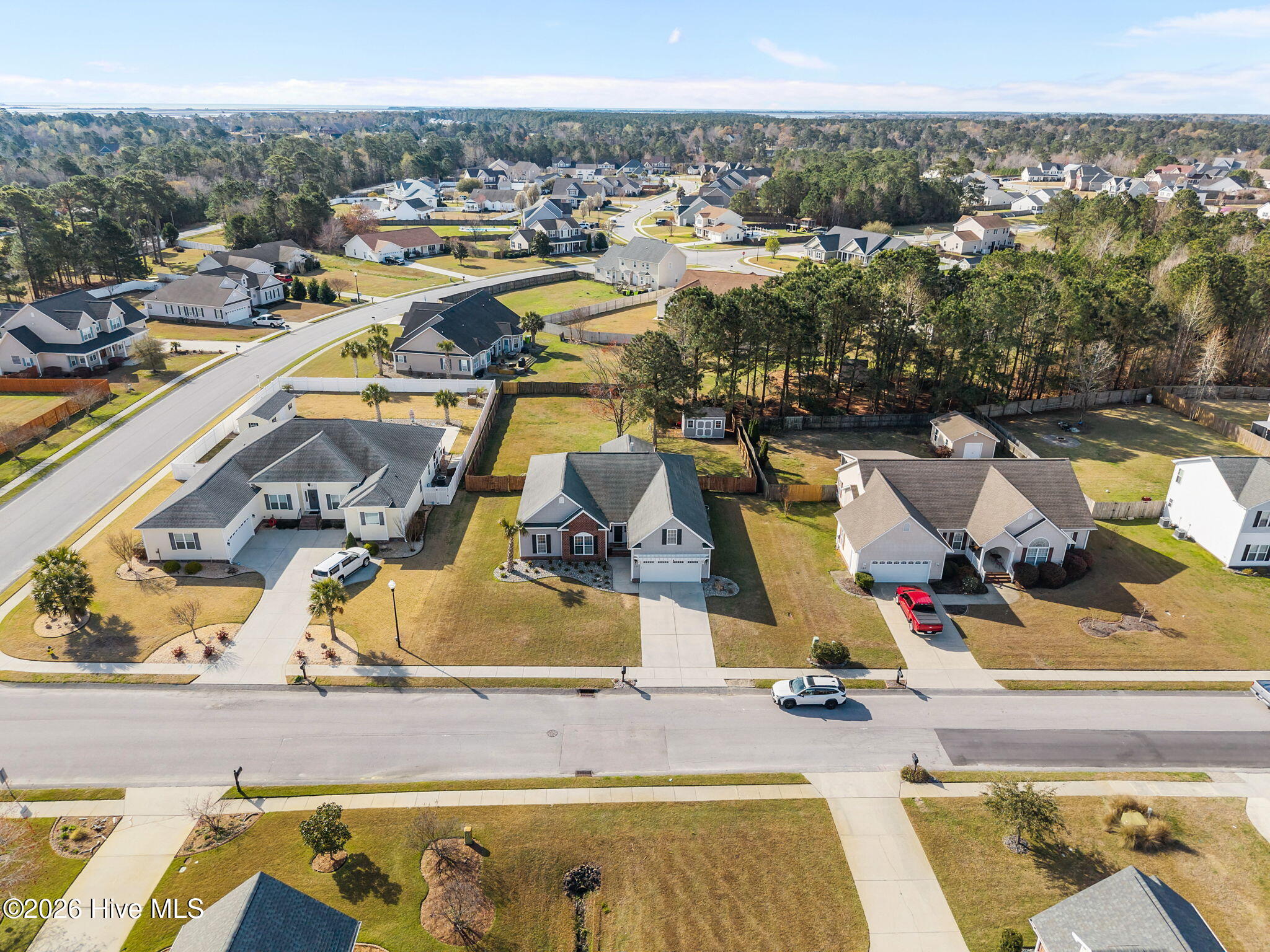 100558969 | Photo 11