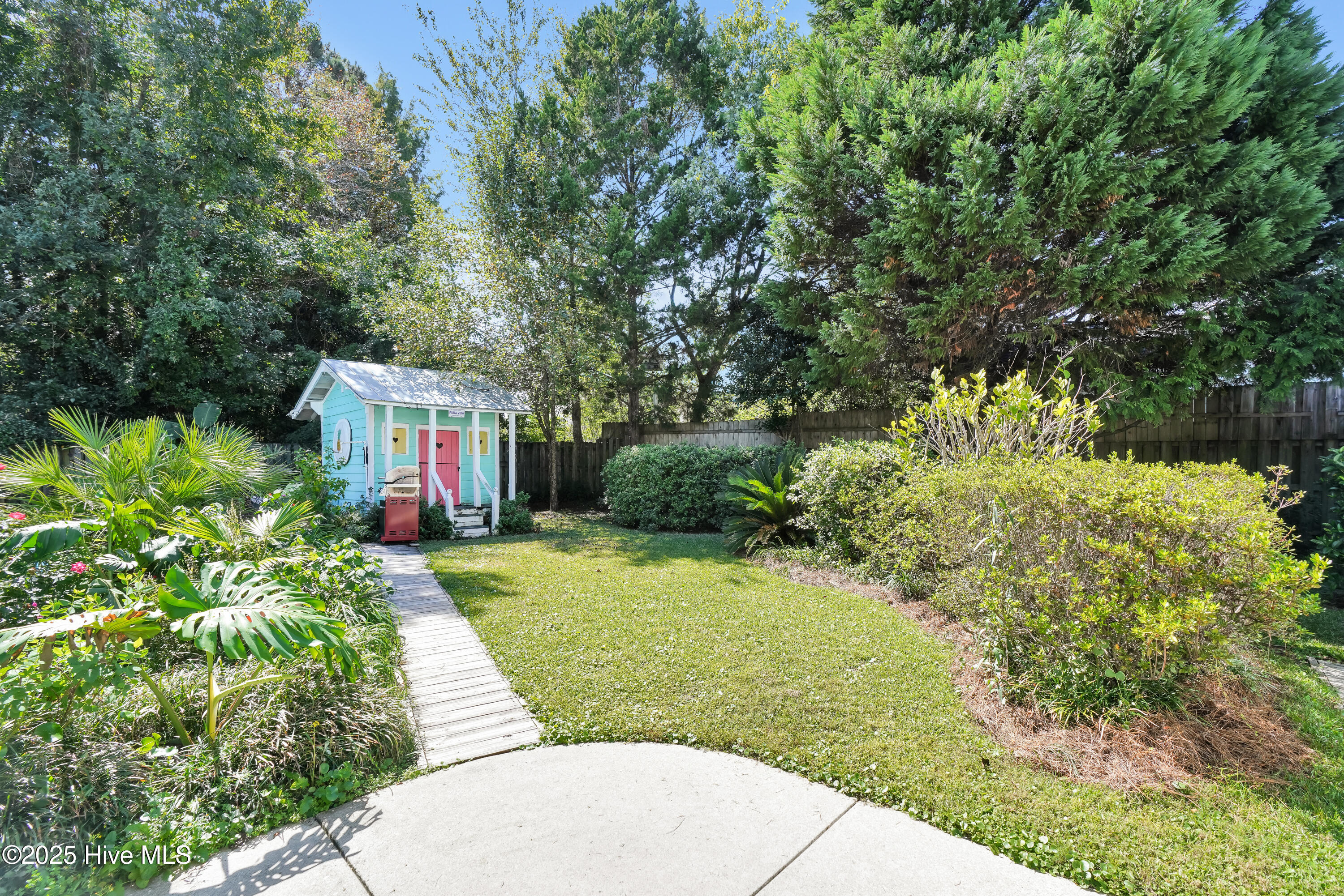 100535392 | Photo 23