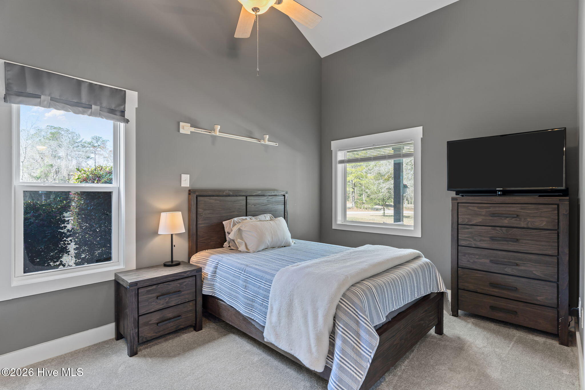 100559500 | Photo 28