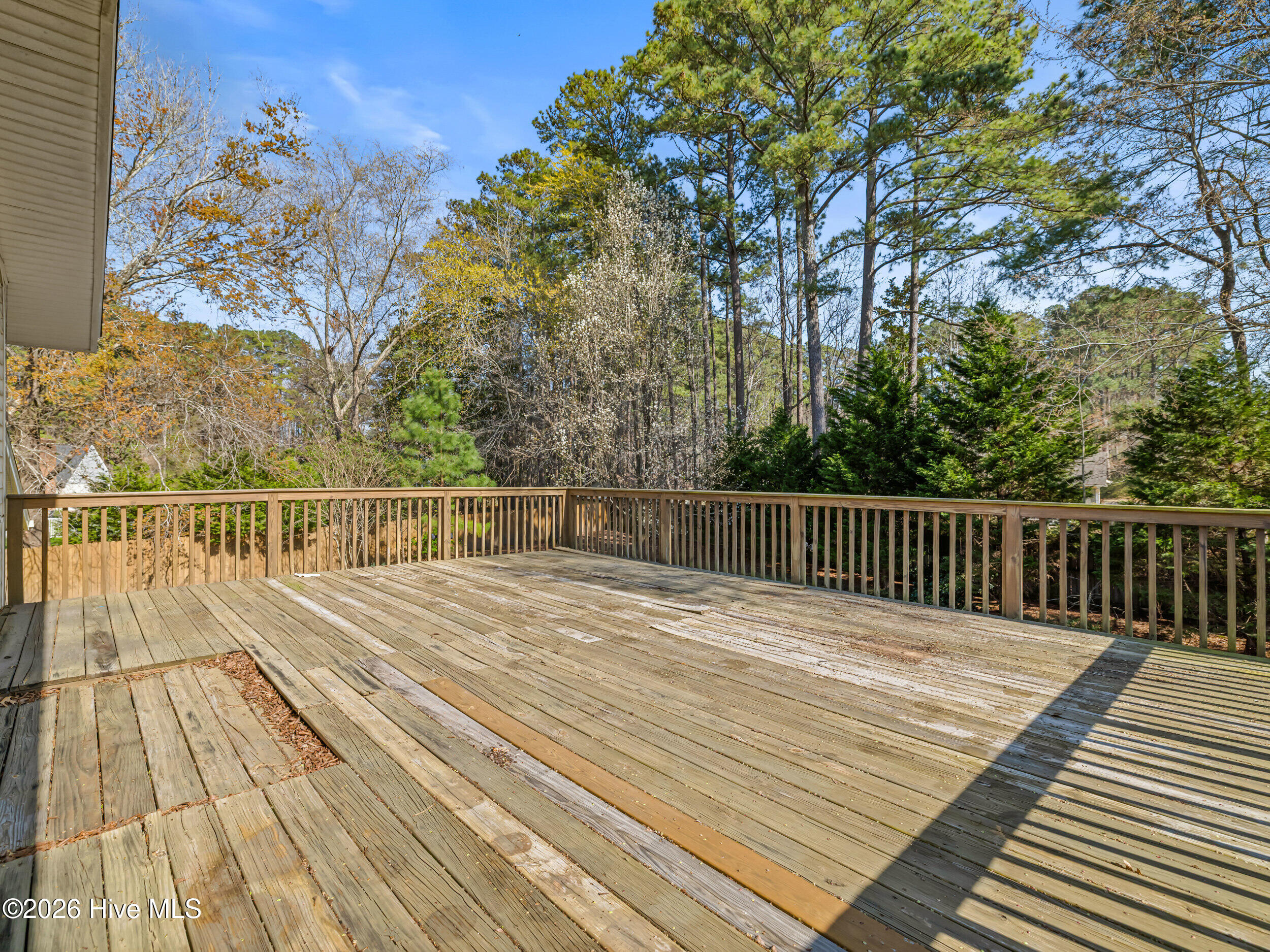 100561743 | Photo 39