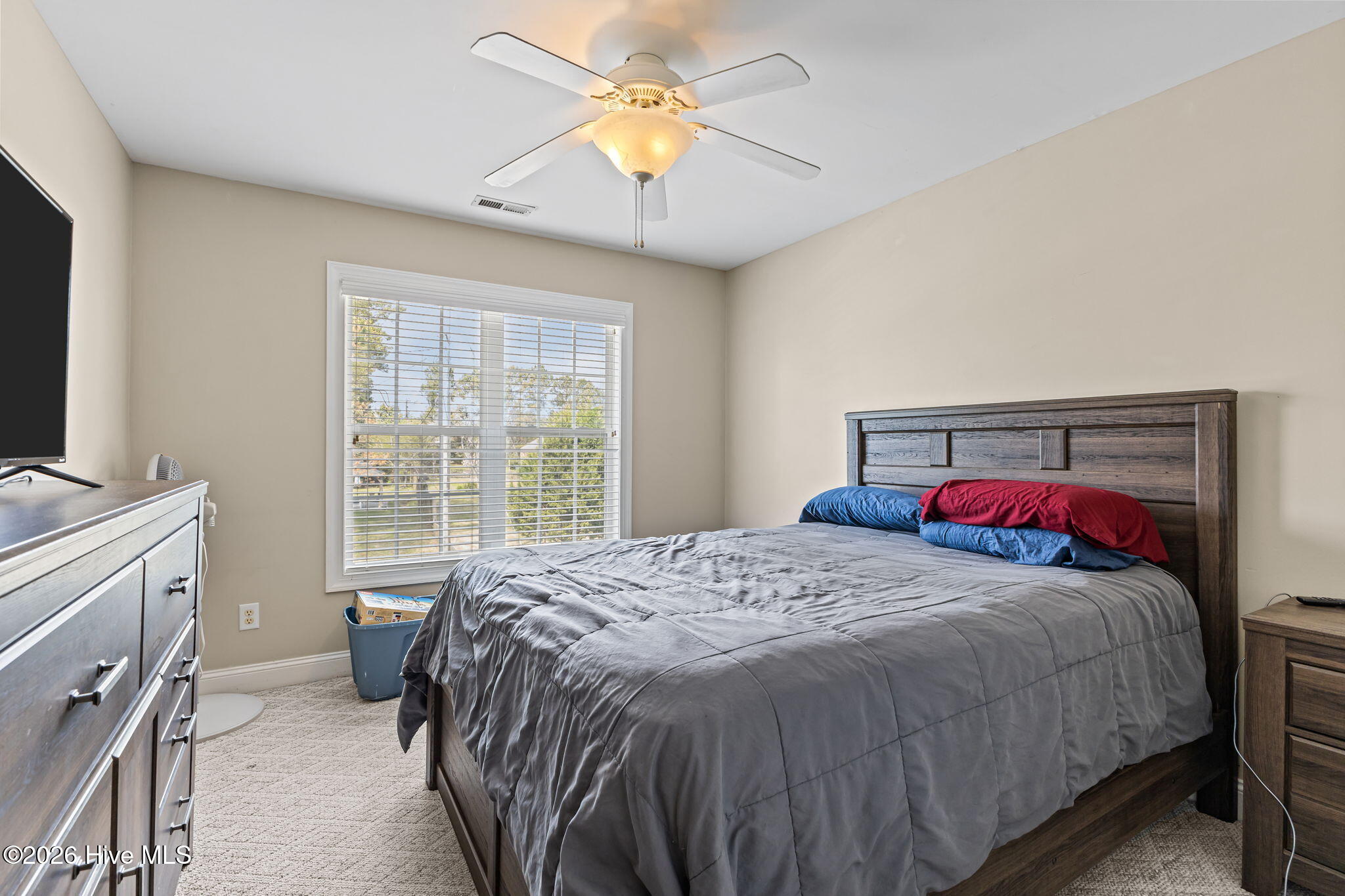 100563146 | Photo 23