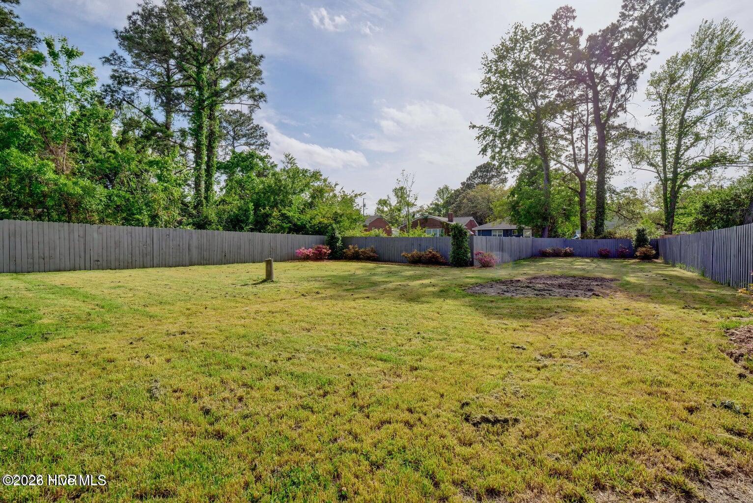 100556867 | Photo 10