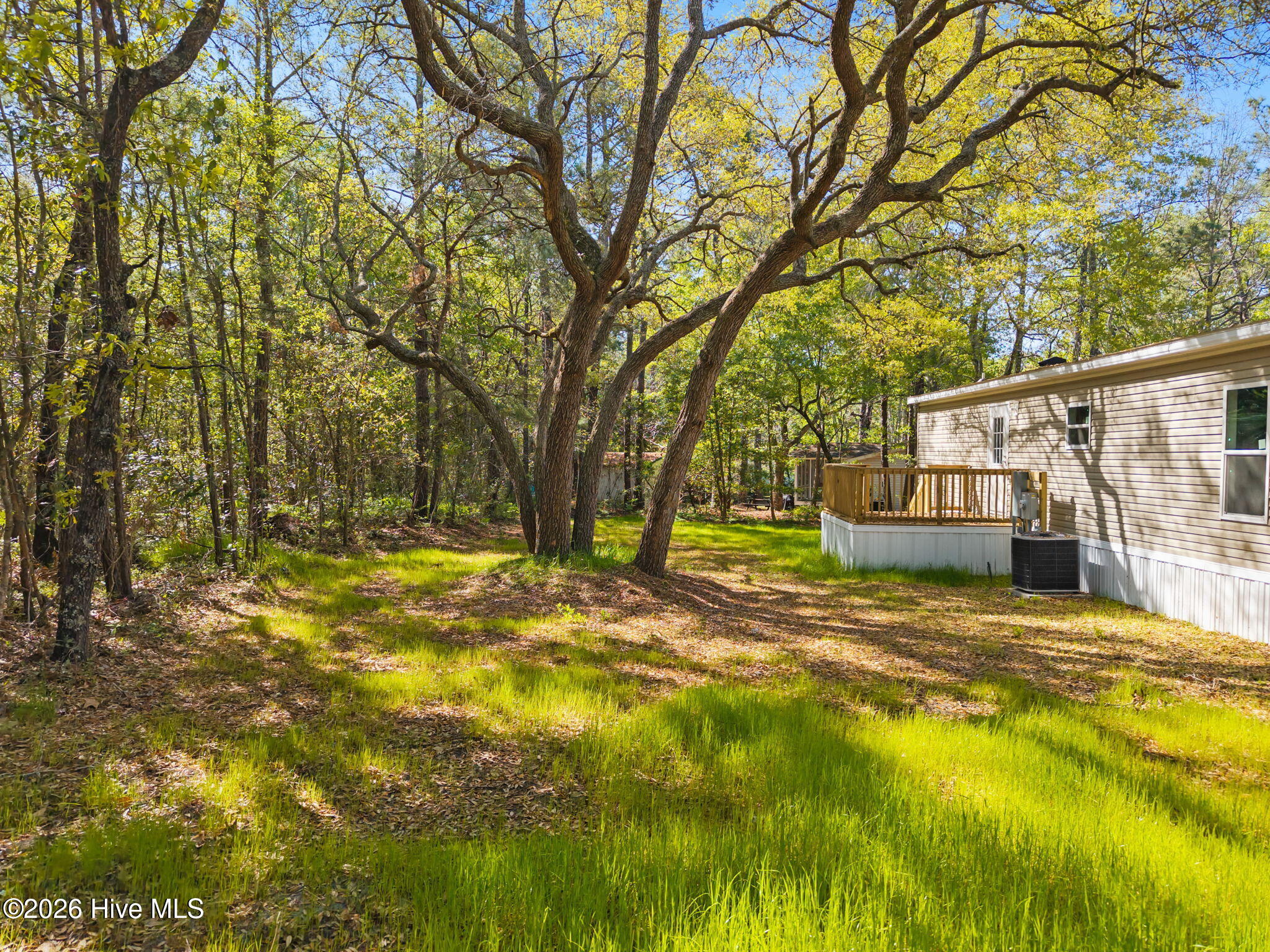 100569950 | Photo 29