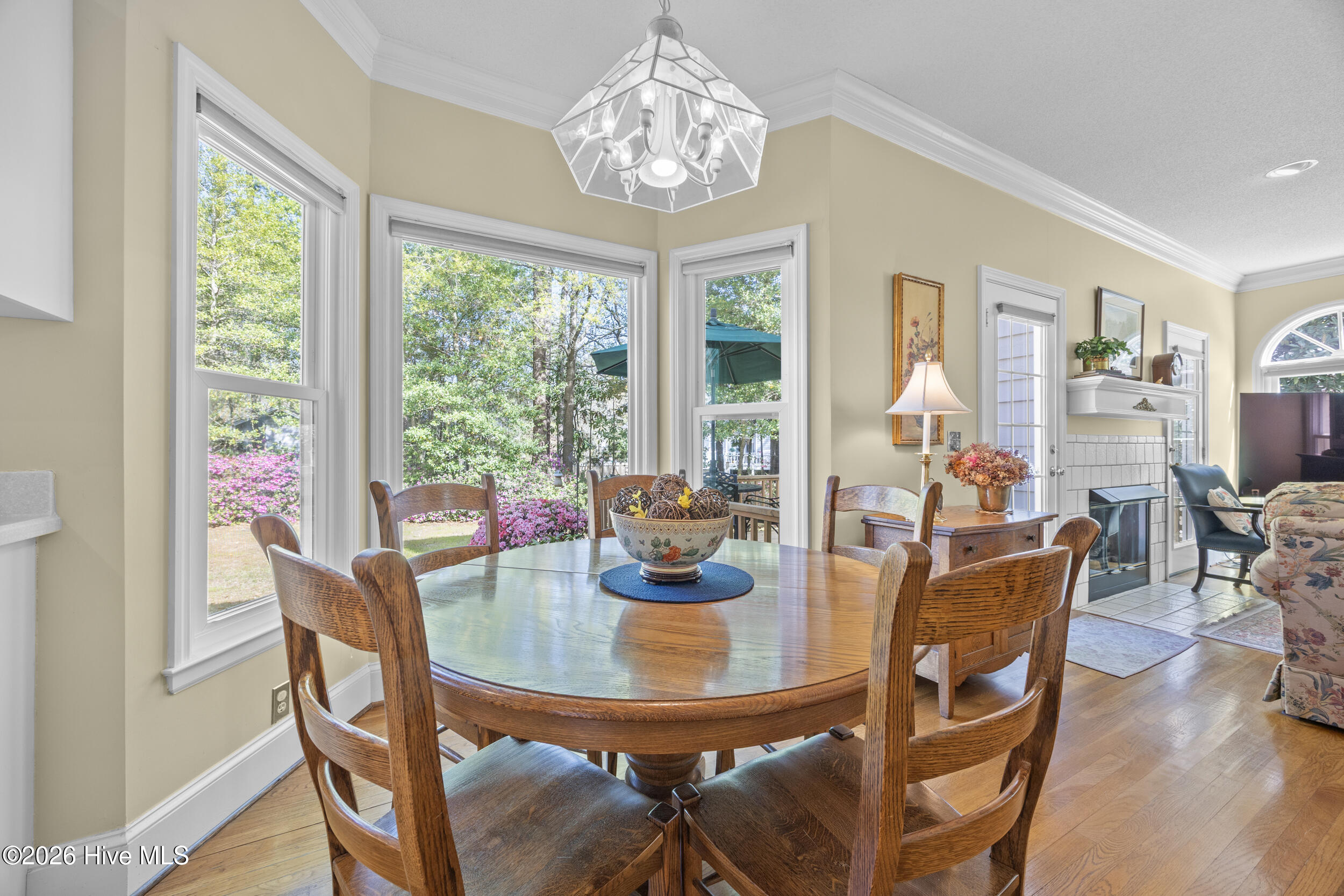 100564035 | Photo 23