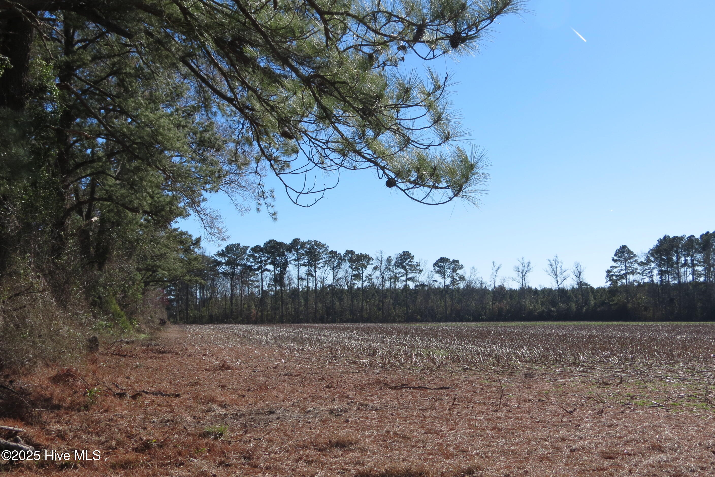 0 Neals Creek Road,Bayboro