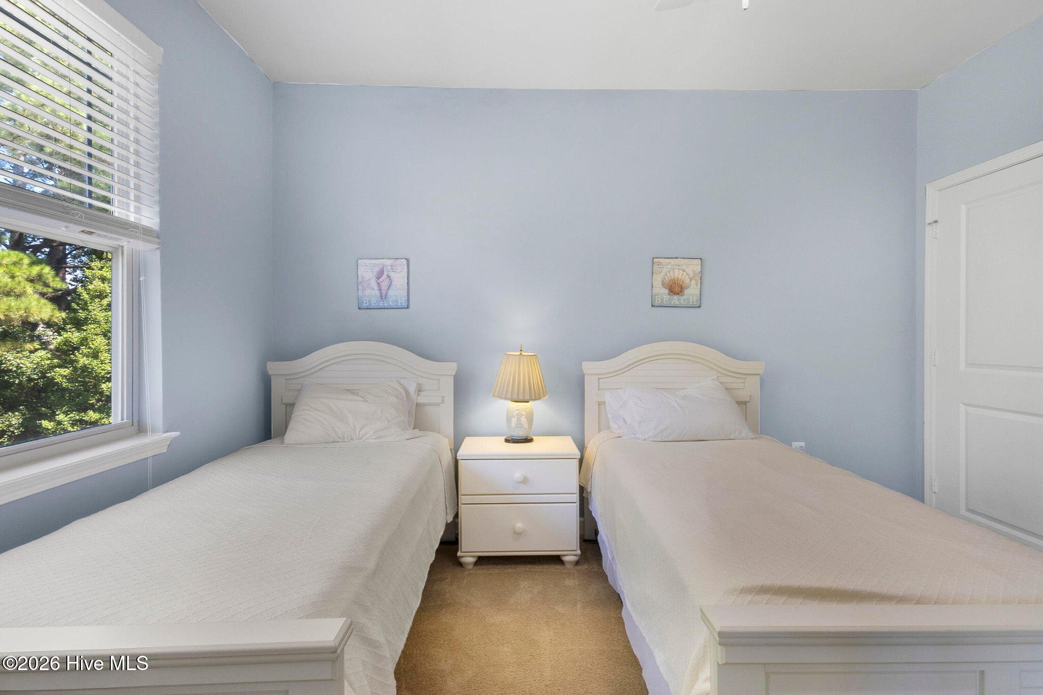 100548445 | Photo 15