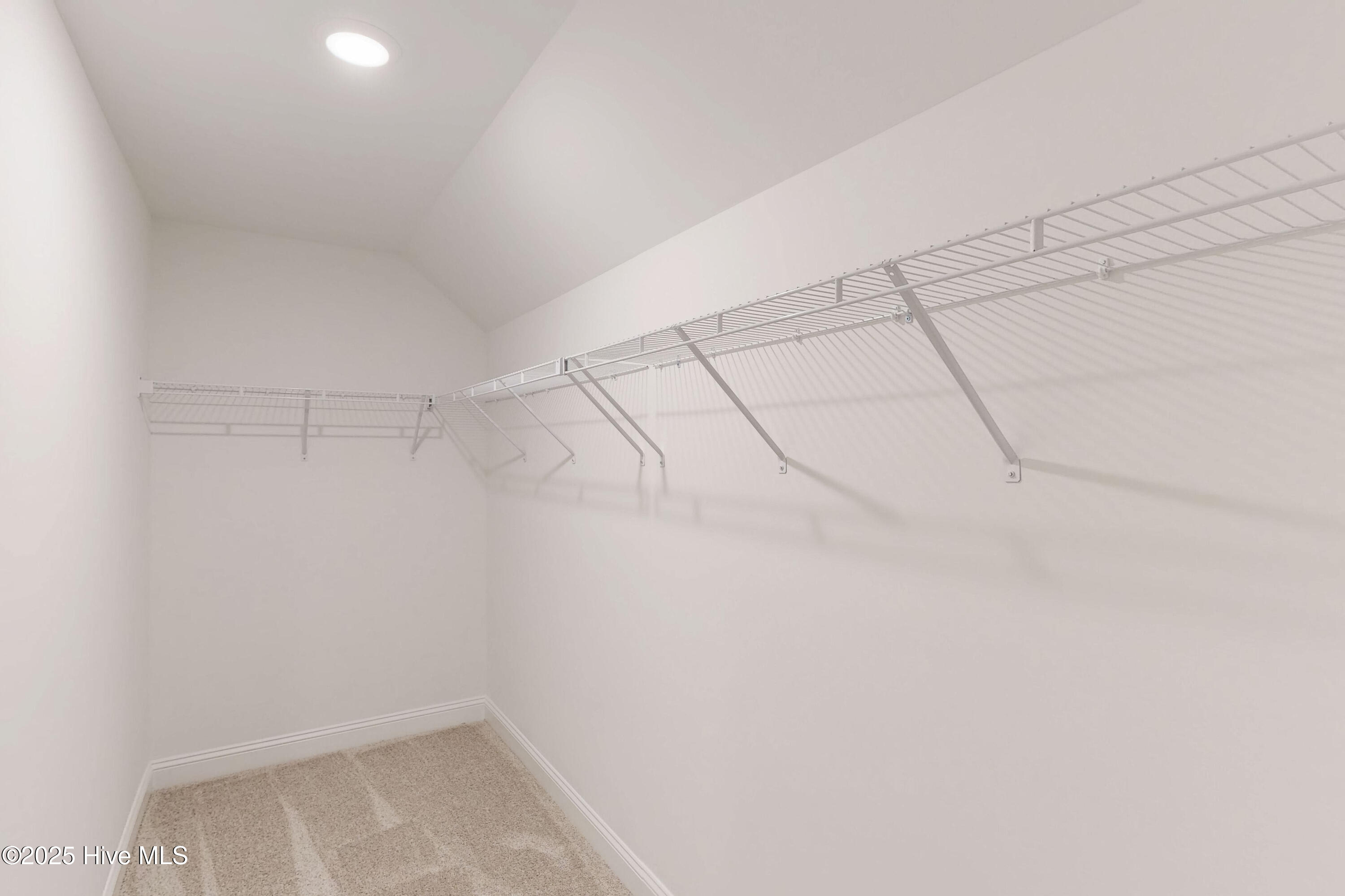 100493004 | Photo 15