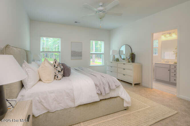 100525166 | Photo 12