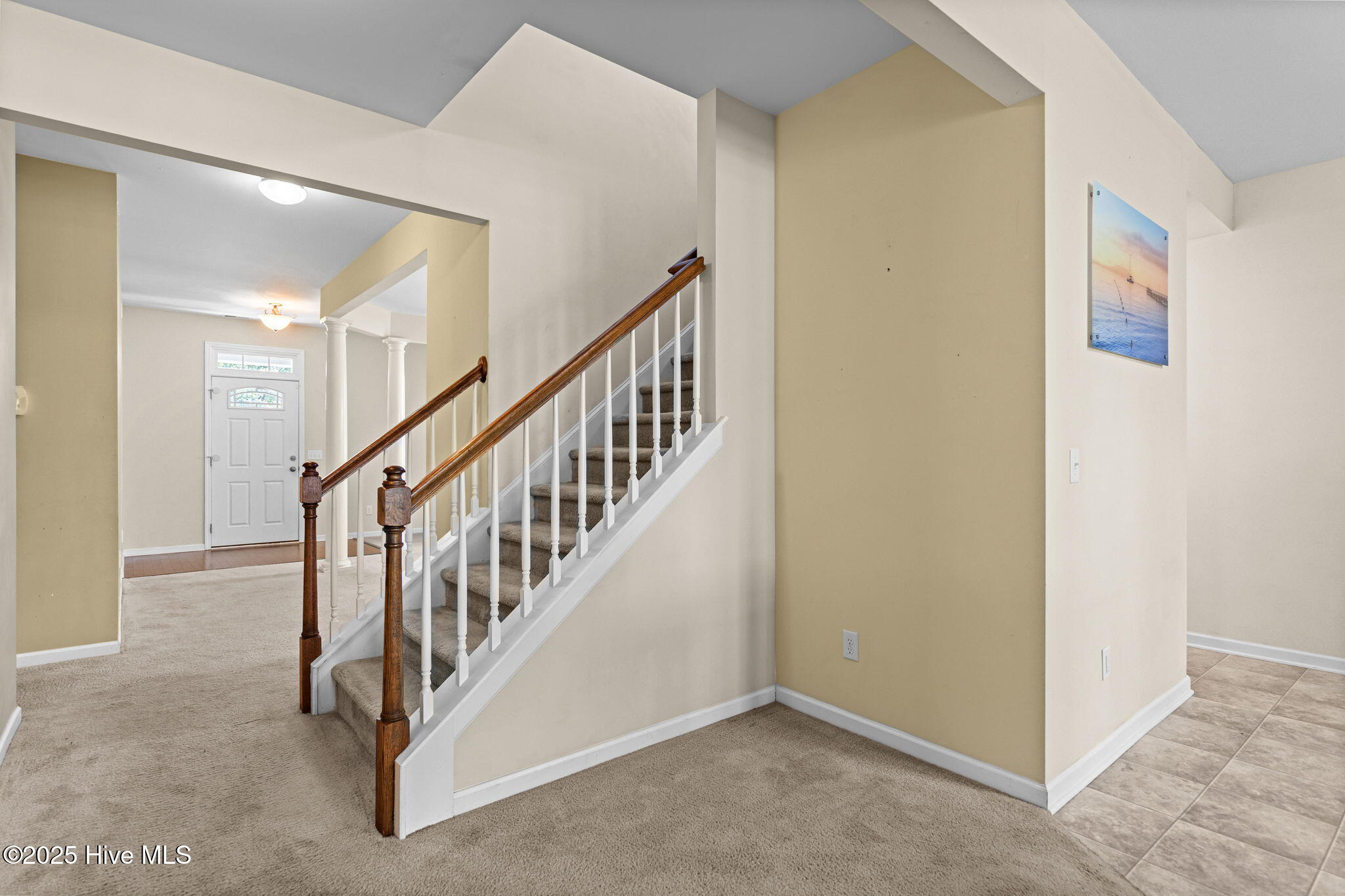 100522493 | Photo 18