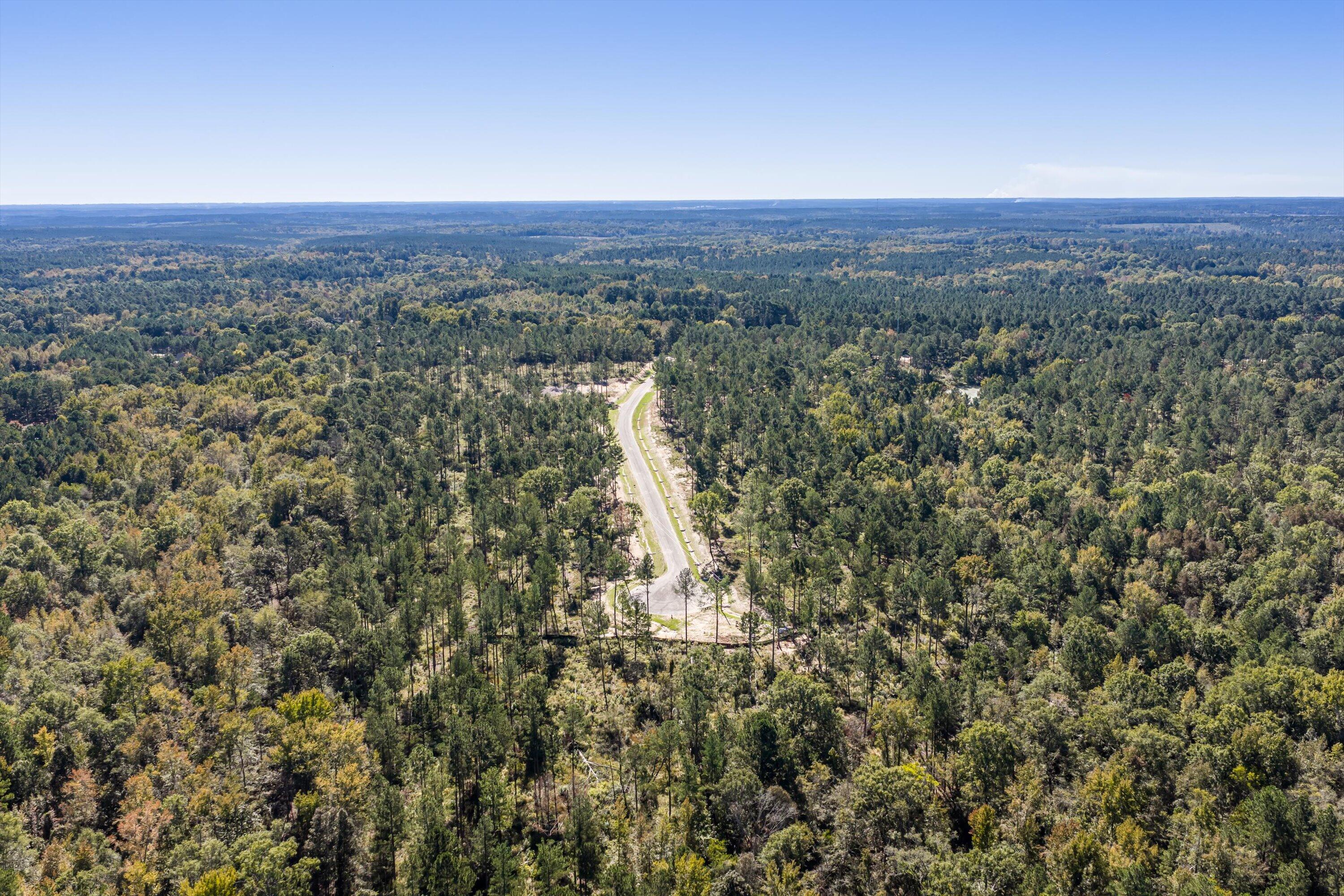 128 Beagle Chase Drive, Appling, GA, 30802