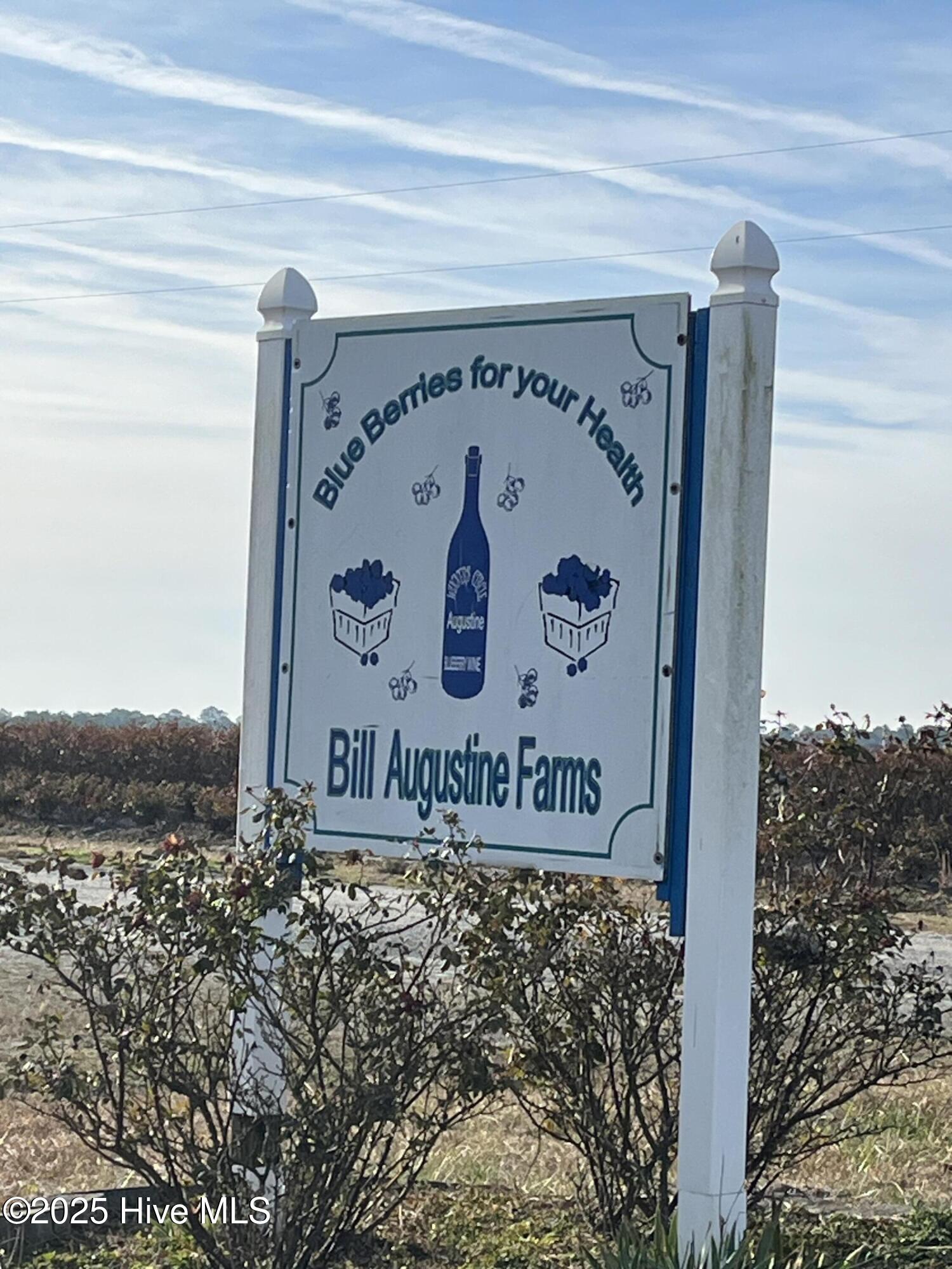 213 Wilbur Pridgen Road, Harrells, NC, 28444