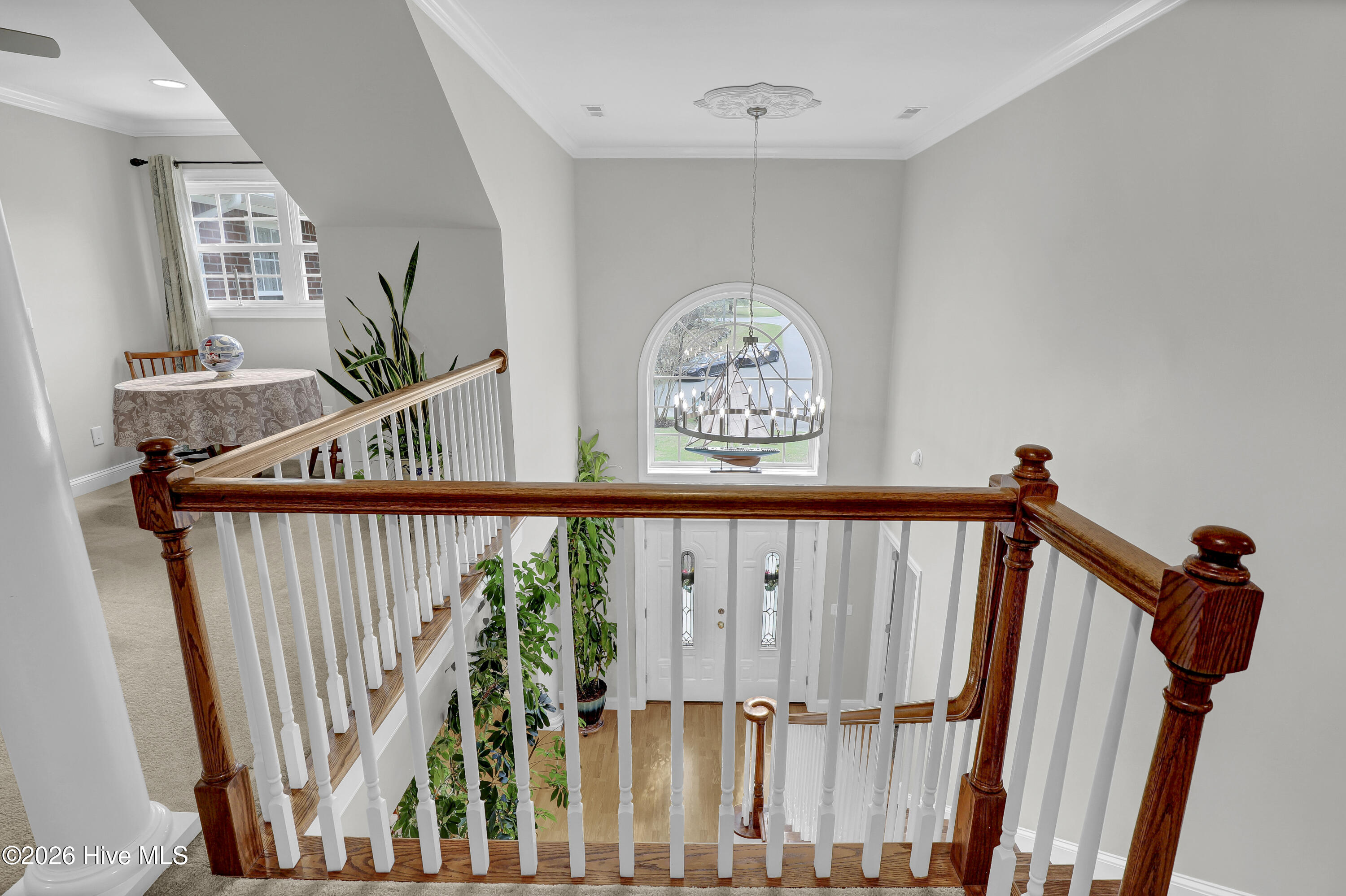 100563243 | Photo 30