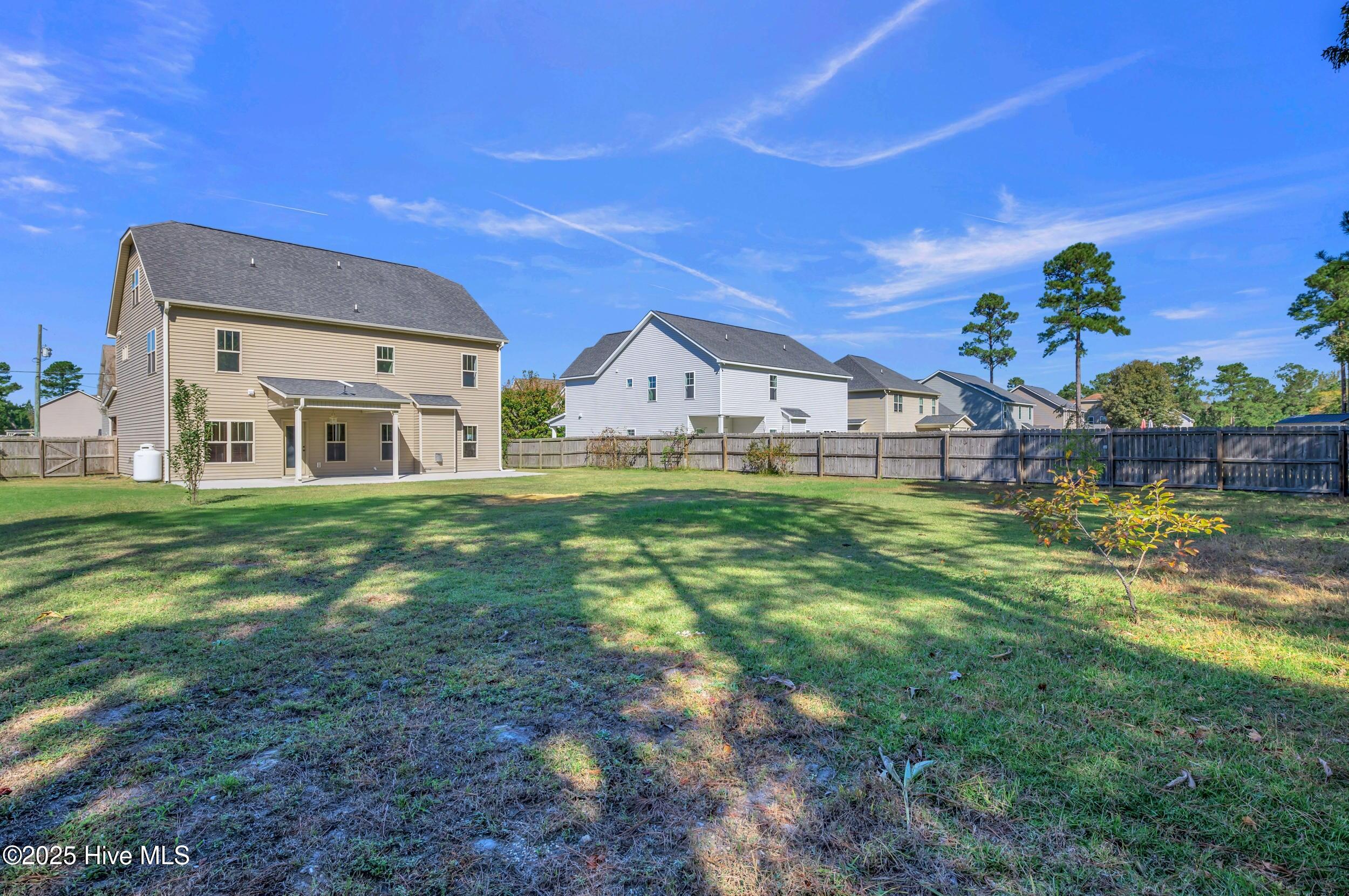 100538065 | Photo 46