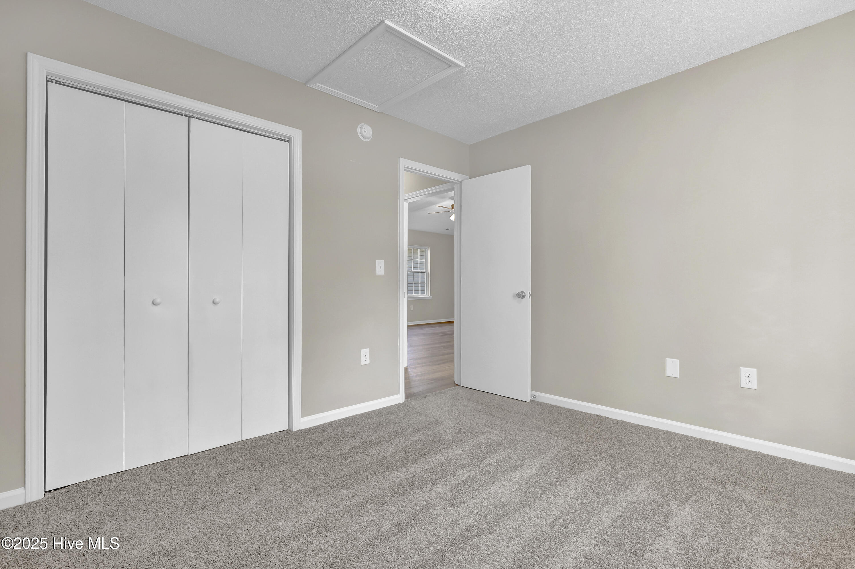 100545251 | Photo 19