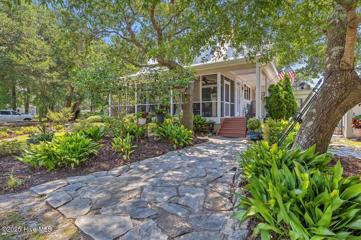 100556221 | Photo 55